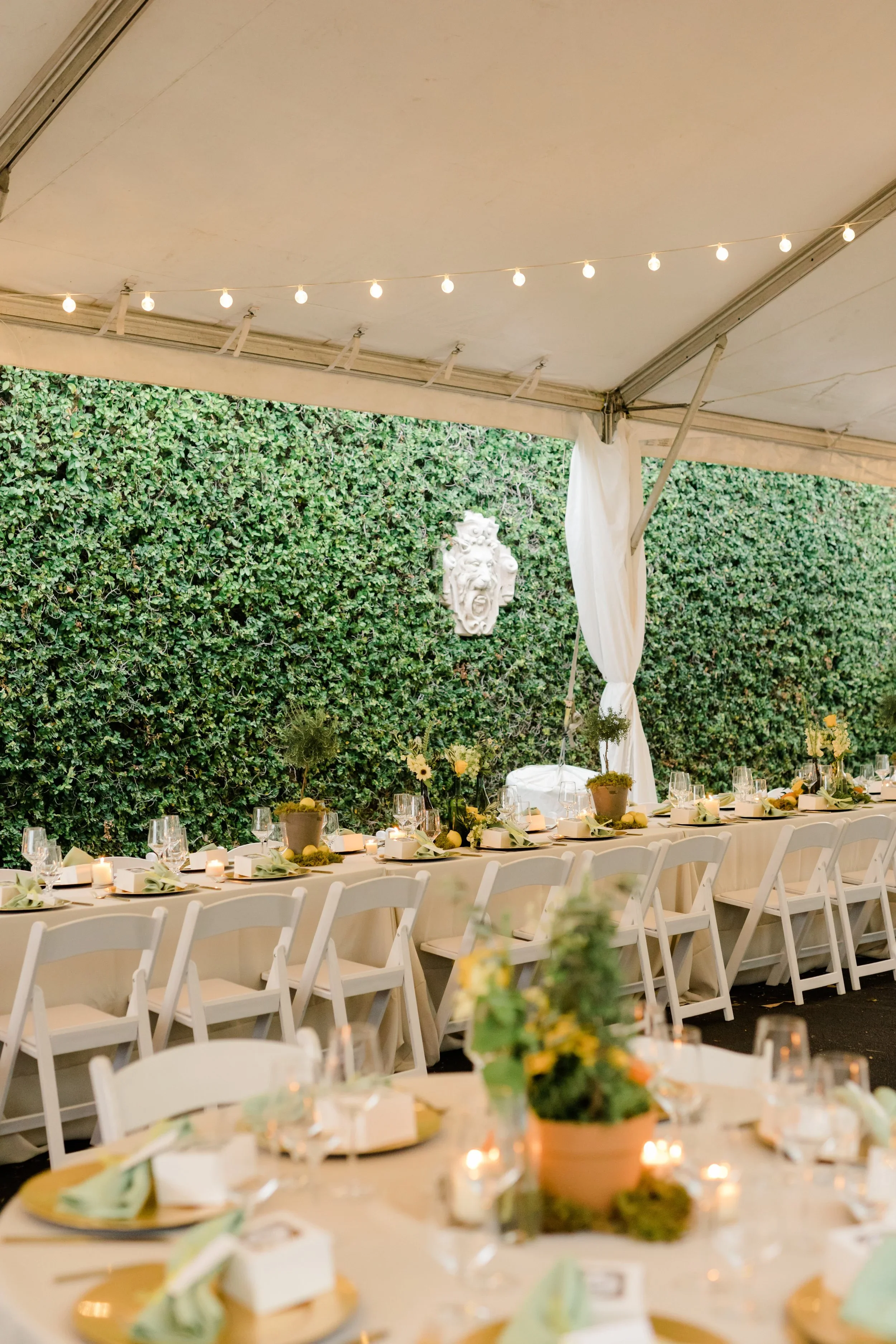 Decorated outdoor dining area with long table, white chairs, potted flowers, candles, and table settings under a tent with string lights.