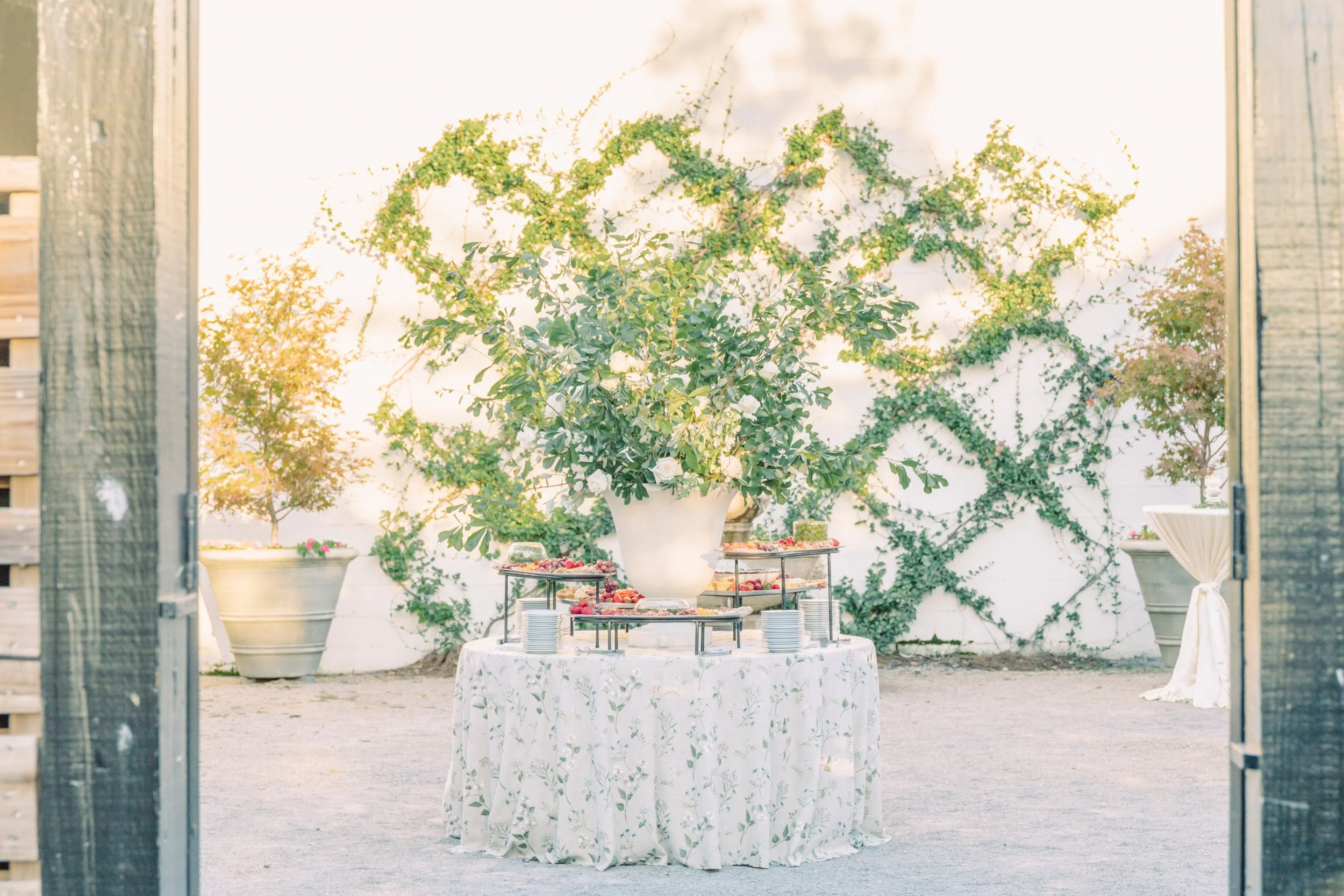 Outdoor table with a large floral arrangement in a white vase, surrounded by plates and food, set against a white wall with climbing greenery in a sunlit garden.