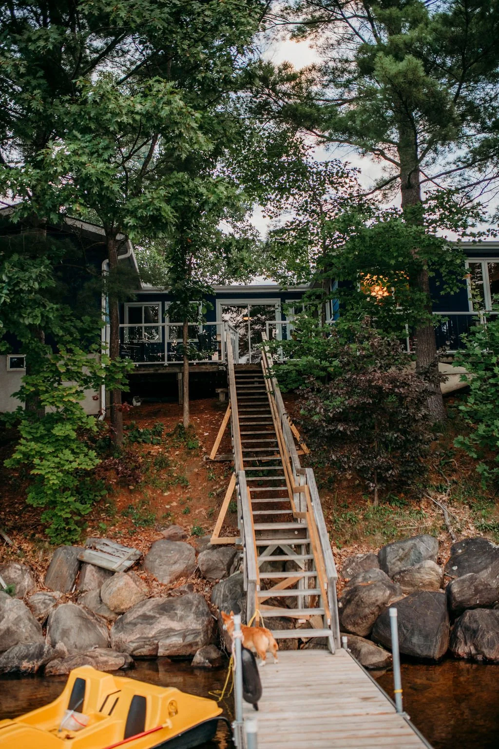 A wooden dock extends over a body of water towards a staircase that leads to a house with a porch, surrounded by trees, rocks, and greenery, with a dog at the water's edge.
