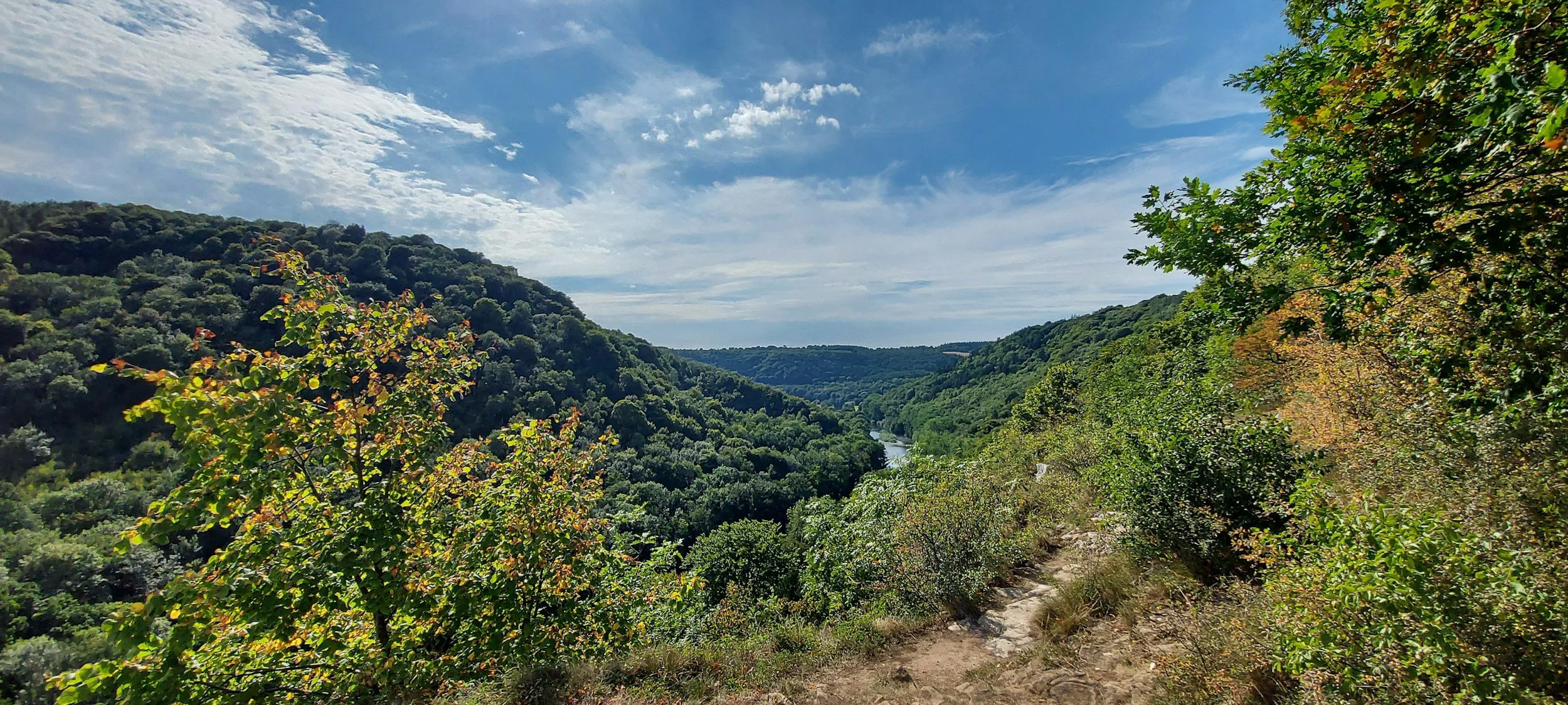 Scenic view of a green forested valley with a river running through it, under a partly cloudy blue sky with some wispy clouds.