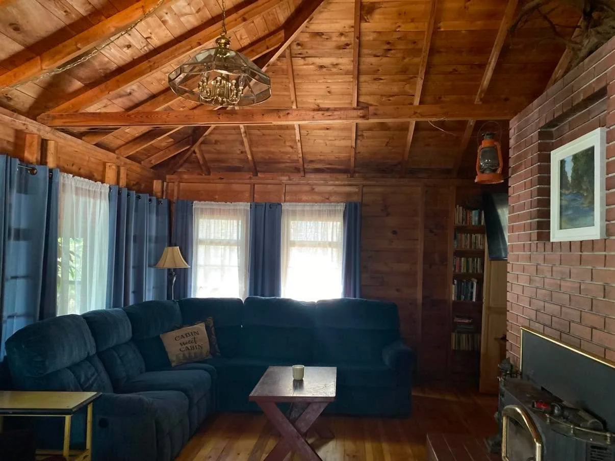 A living area with a sleeper couch
