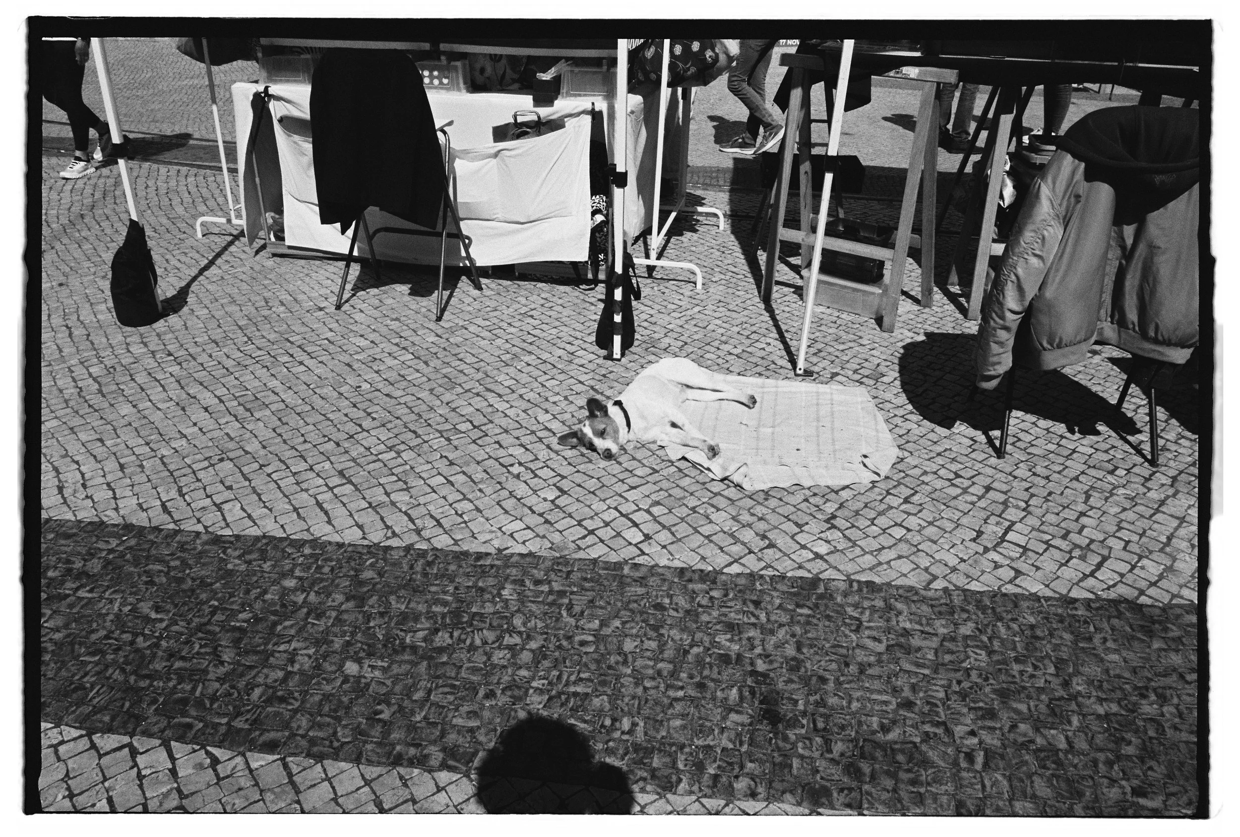 Lisbon Portugal, 2026_1.jpg