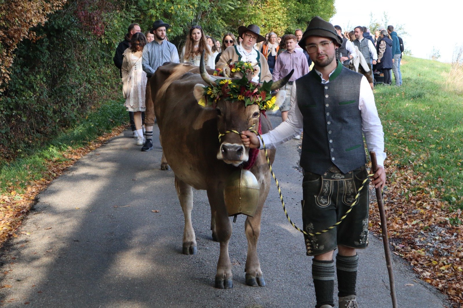 Almabtrieb in Frickenhofen begeistert zahlreiche Besucher