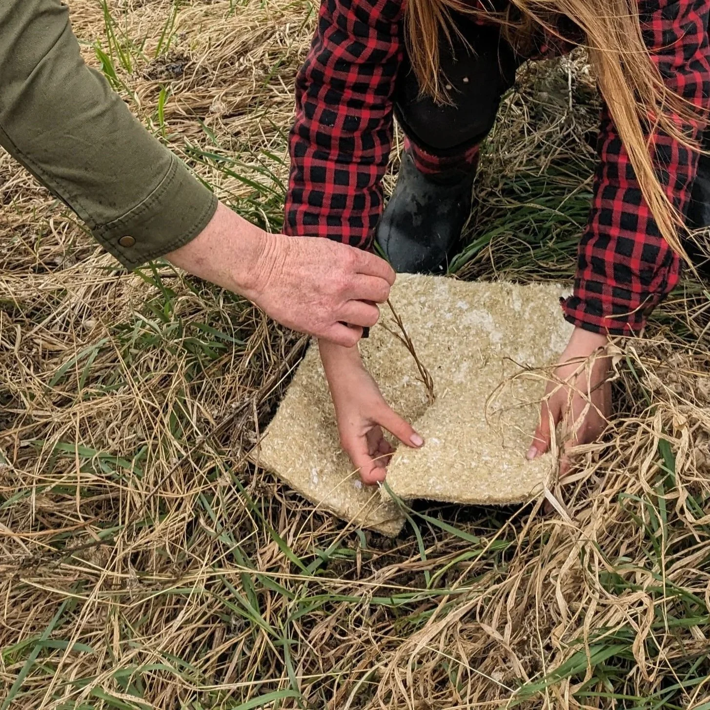 Hemp Squares | (bundle of 5)