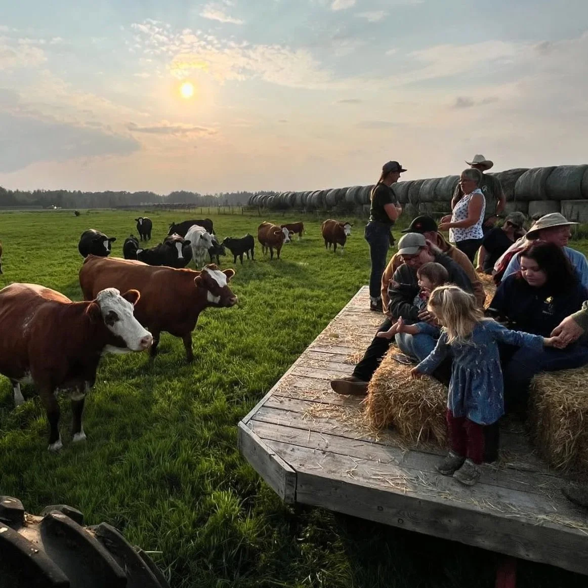 Open+Farm+Days+-+Triple+Lyoness+%283%29+%28ID+56099%29.jpg
