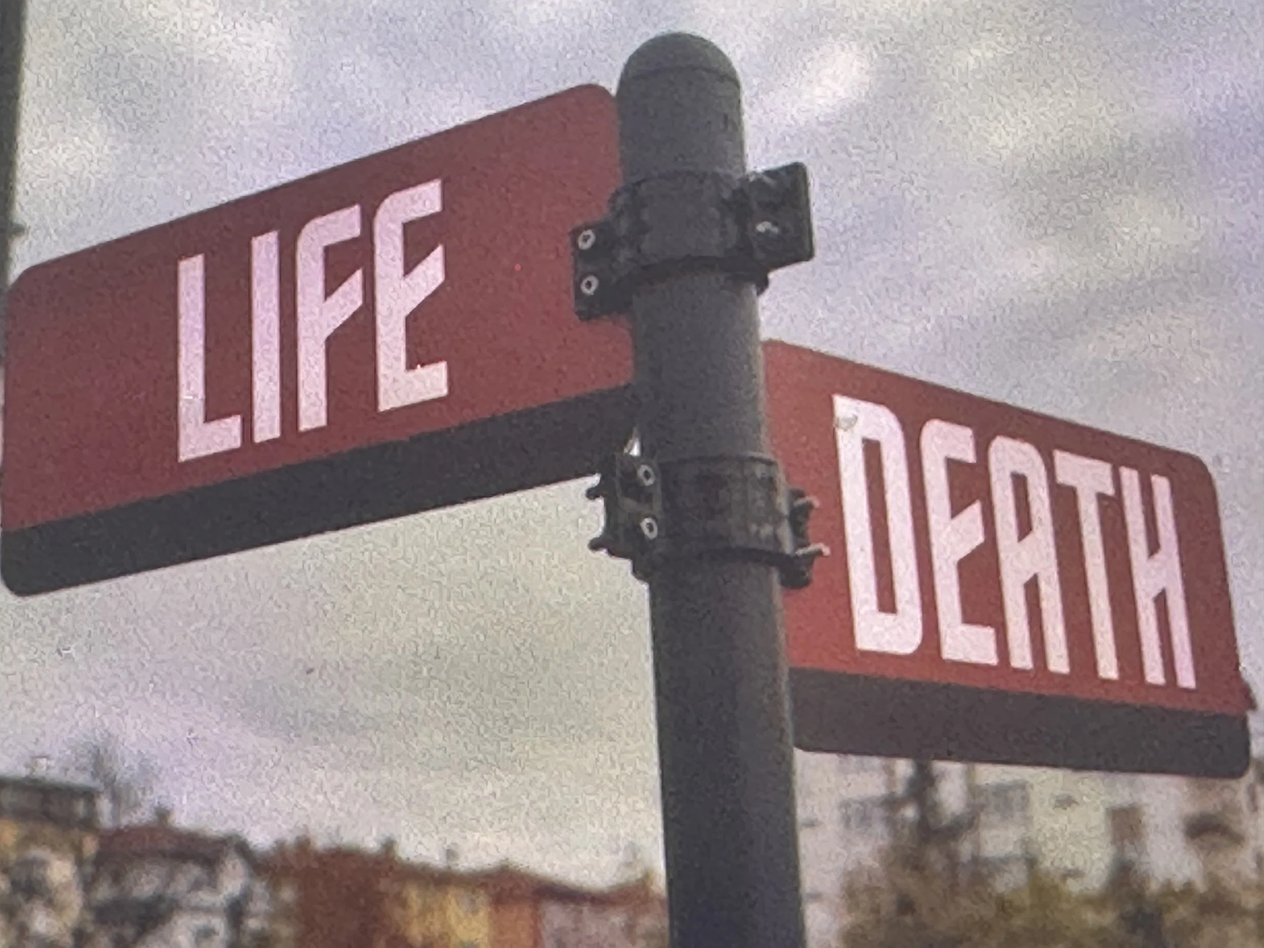 LIFE  AND  DEATH  -                     BEGINNING  AND  END