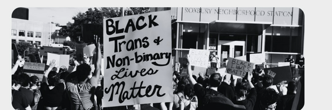 Protest with sign that reads Black Trans and Non-Binary Lives Matter