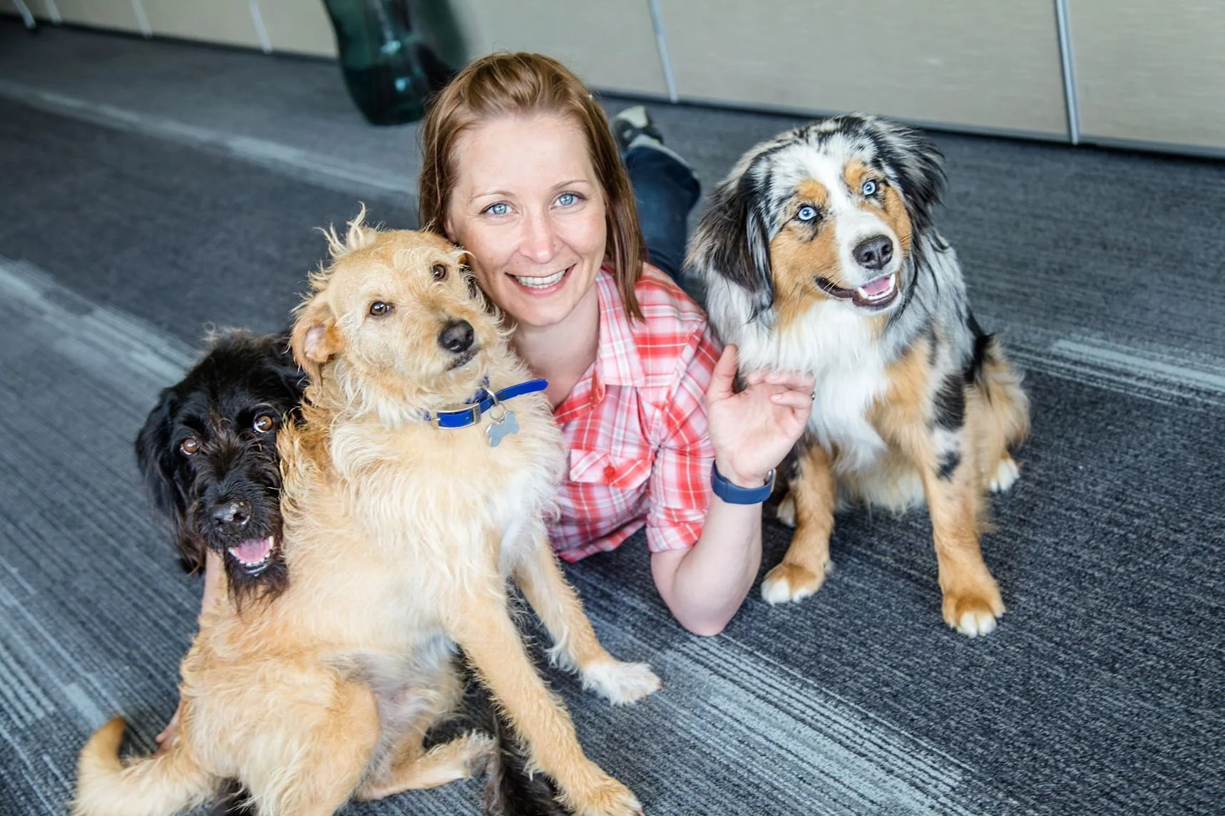a red haired woman, hair pulled back from her face wearing a pink plaid t-shirt, laying on a carpeted floor, mostly her face visible with three dogs next to her - a black dog, a beige dog and an Australian shepherd type dog
