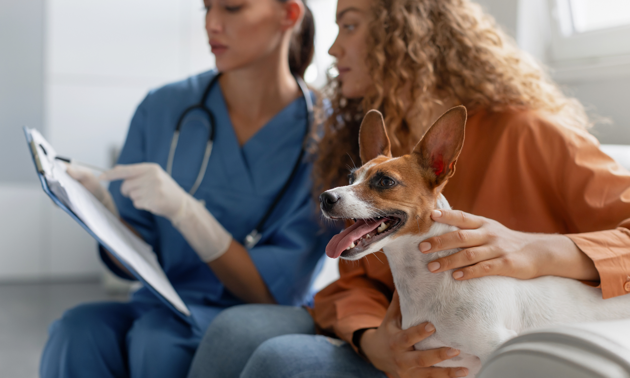 Association for Communication in Veterinary Medicine