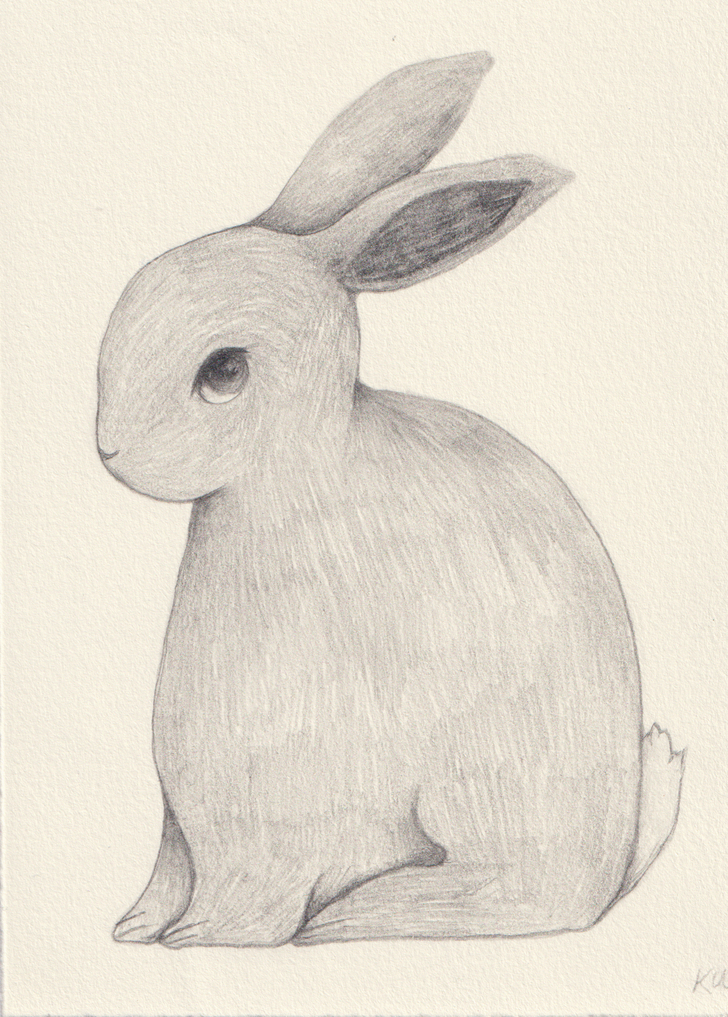 Scan_20260623.png