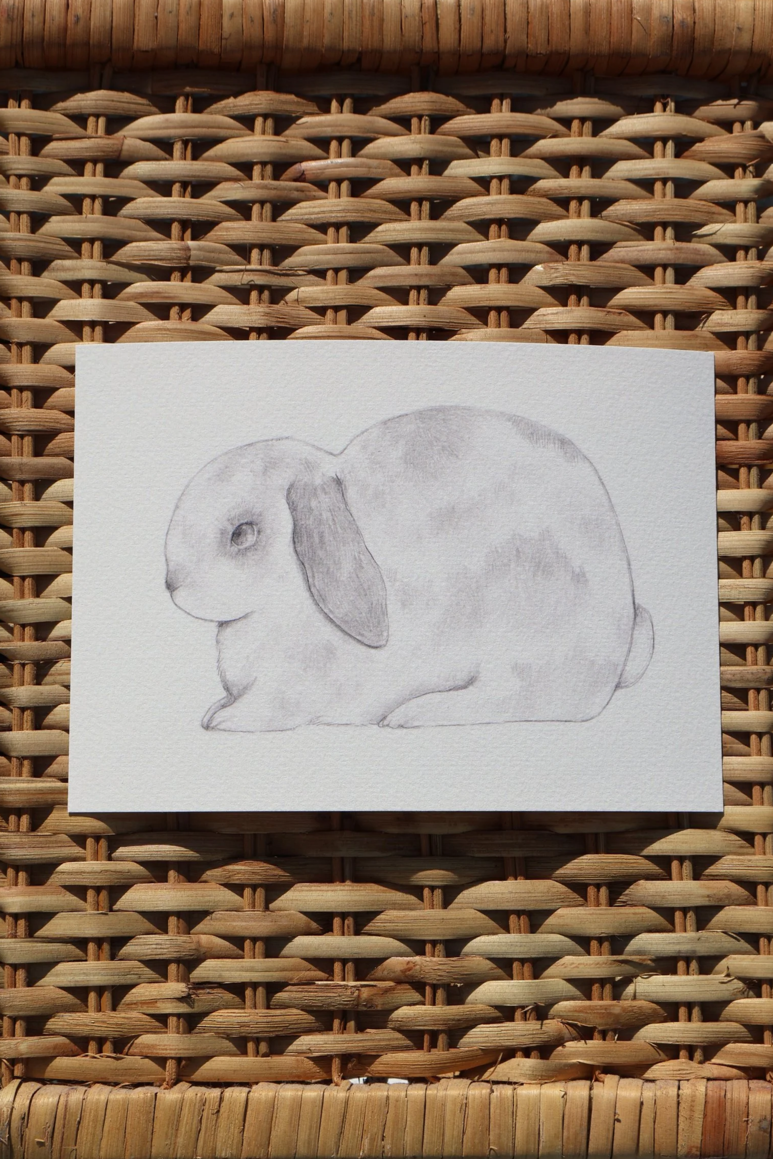 The Lop Bunny: Art Print
