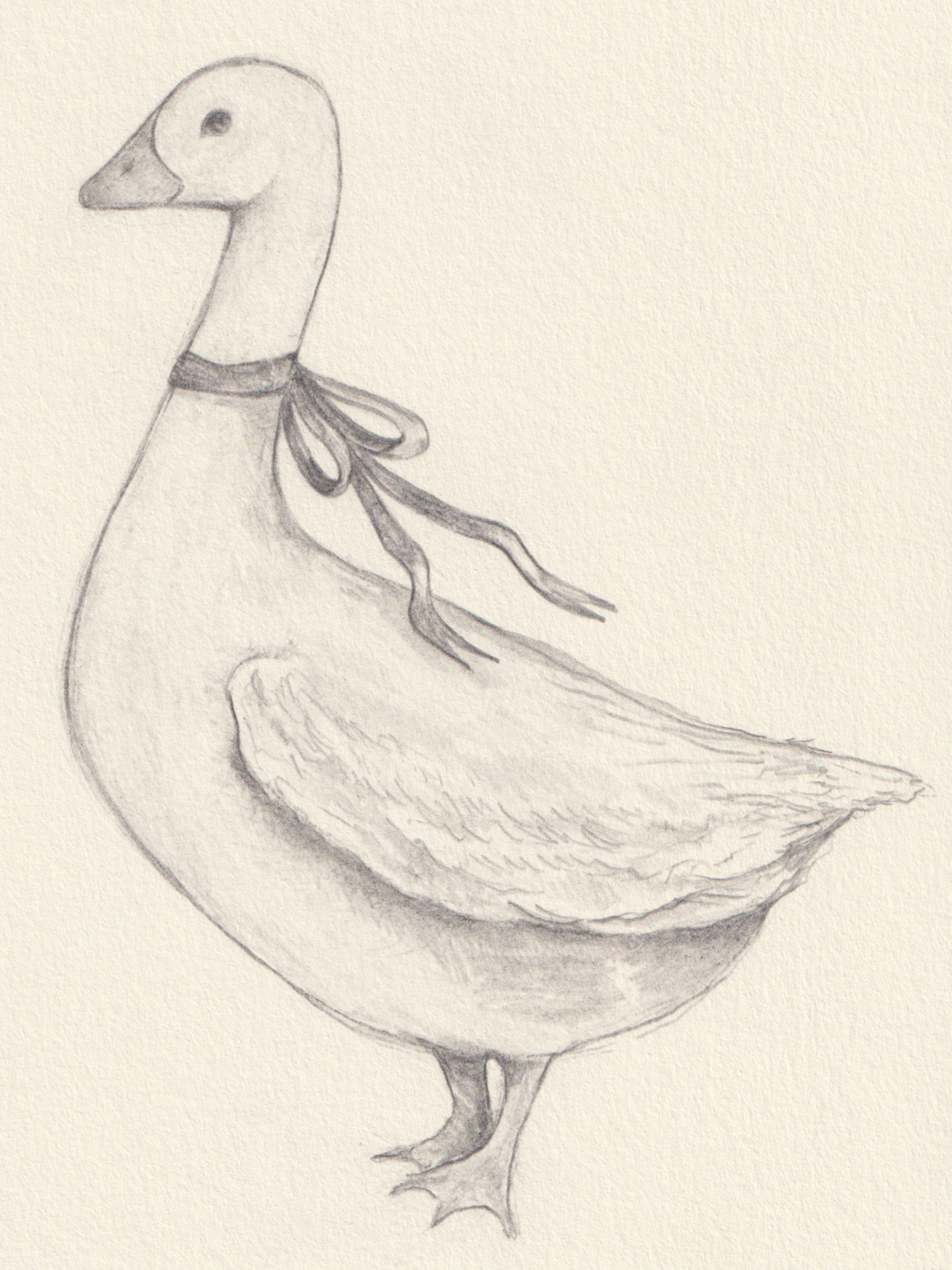 Scan_20231230.png