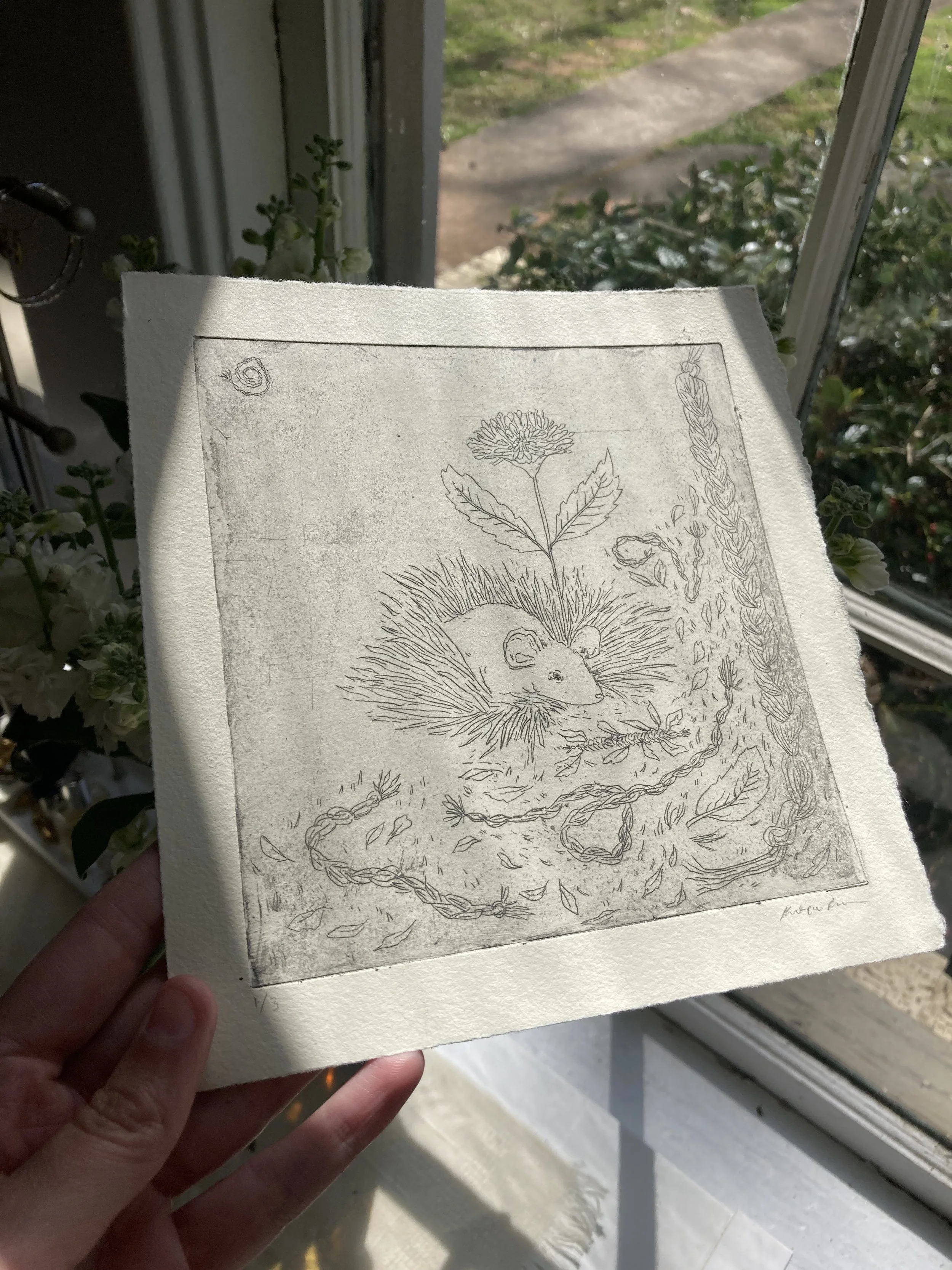 Line drawing of a hedgehog near a cluster of leaves and a flower, with additional leaves and plants around.