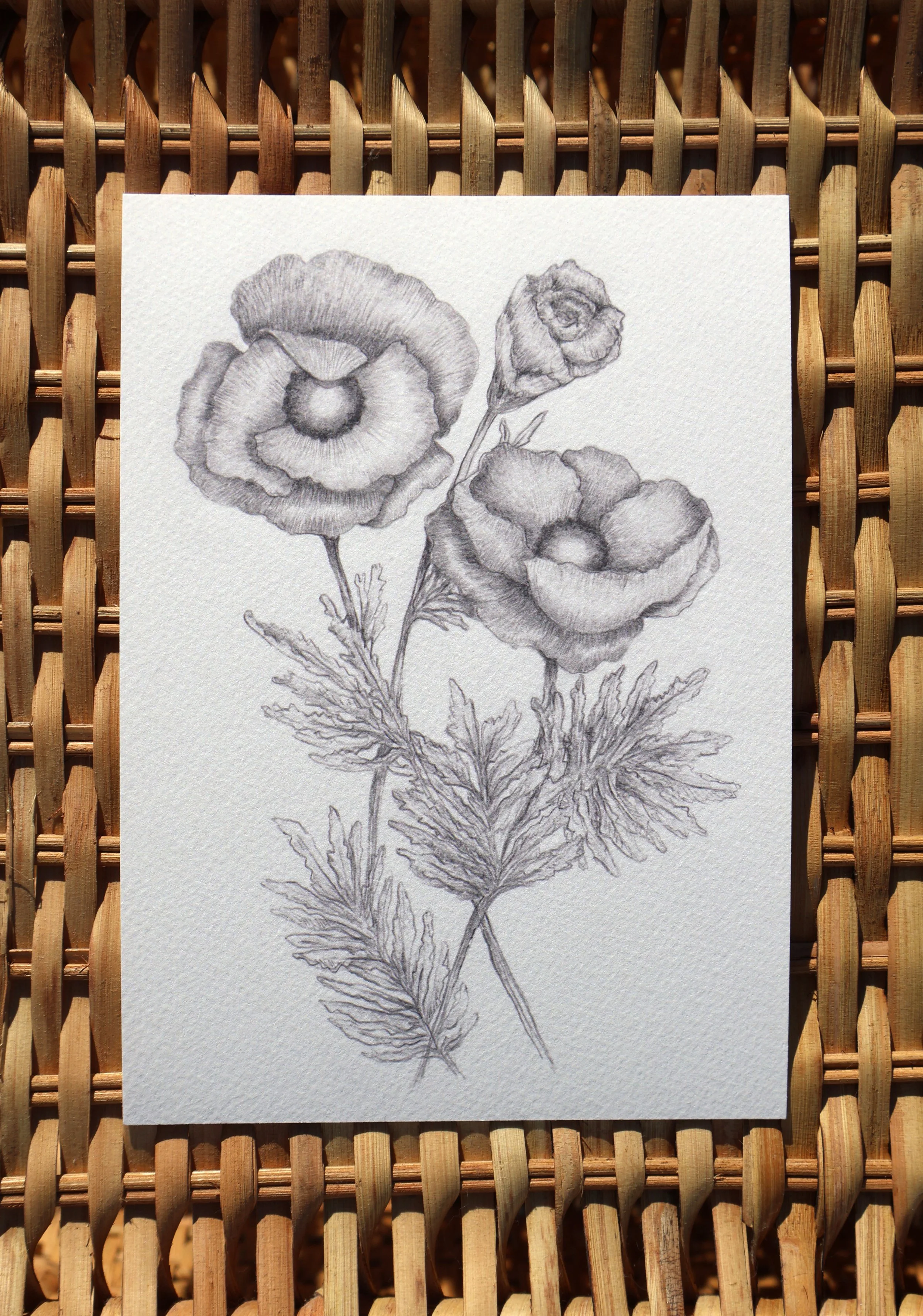 Wild Flower: Art Print