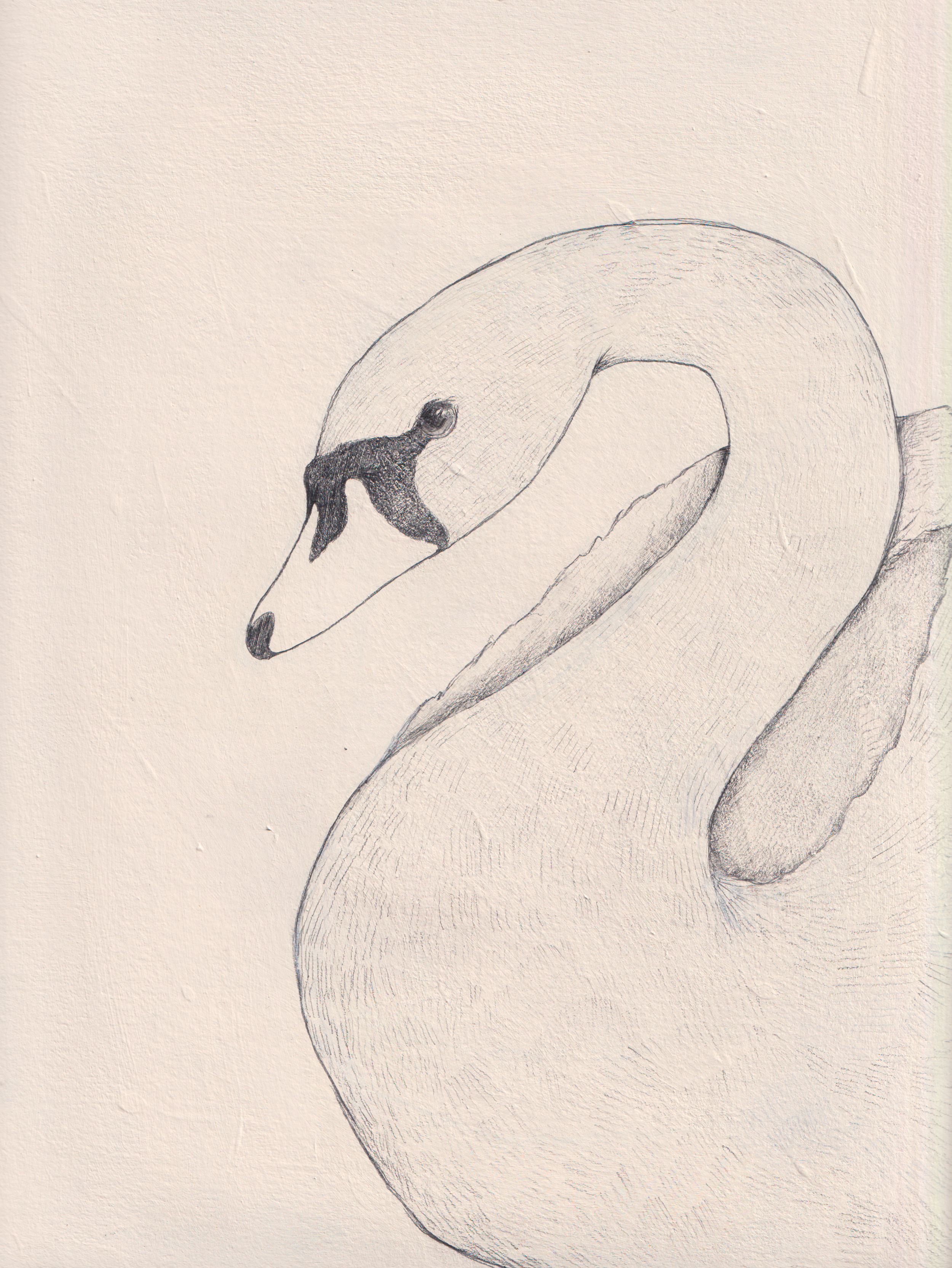 Scan_20250413 (4).png