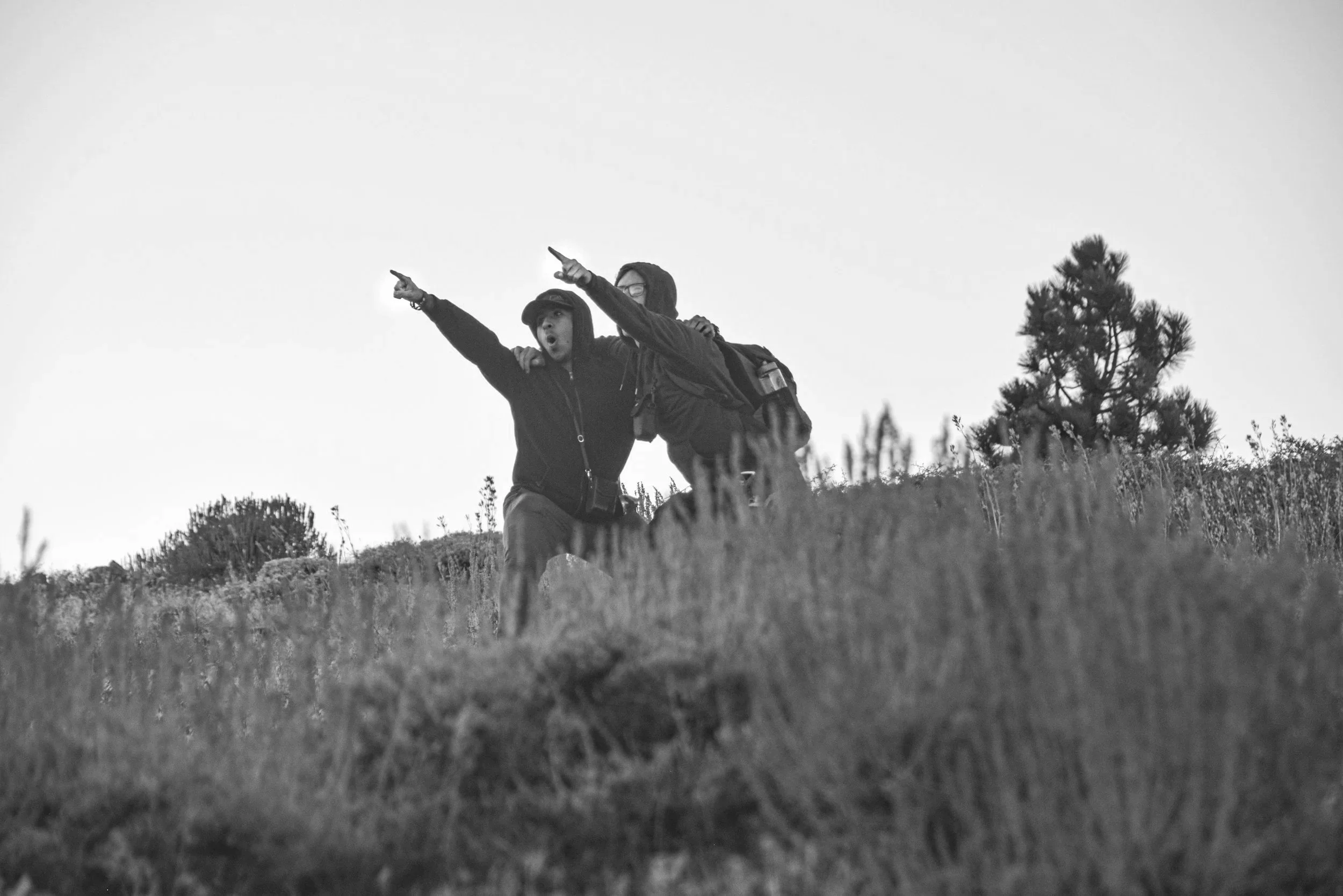 Two young people in hoodies and backpacks pointing and looking excited on a grassy hill with a tree in the background, captured in black and white.