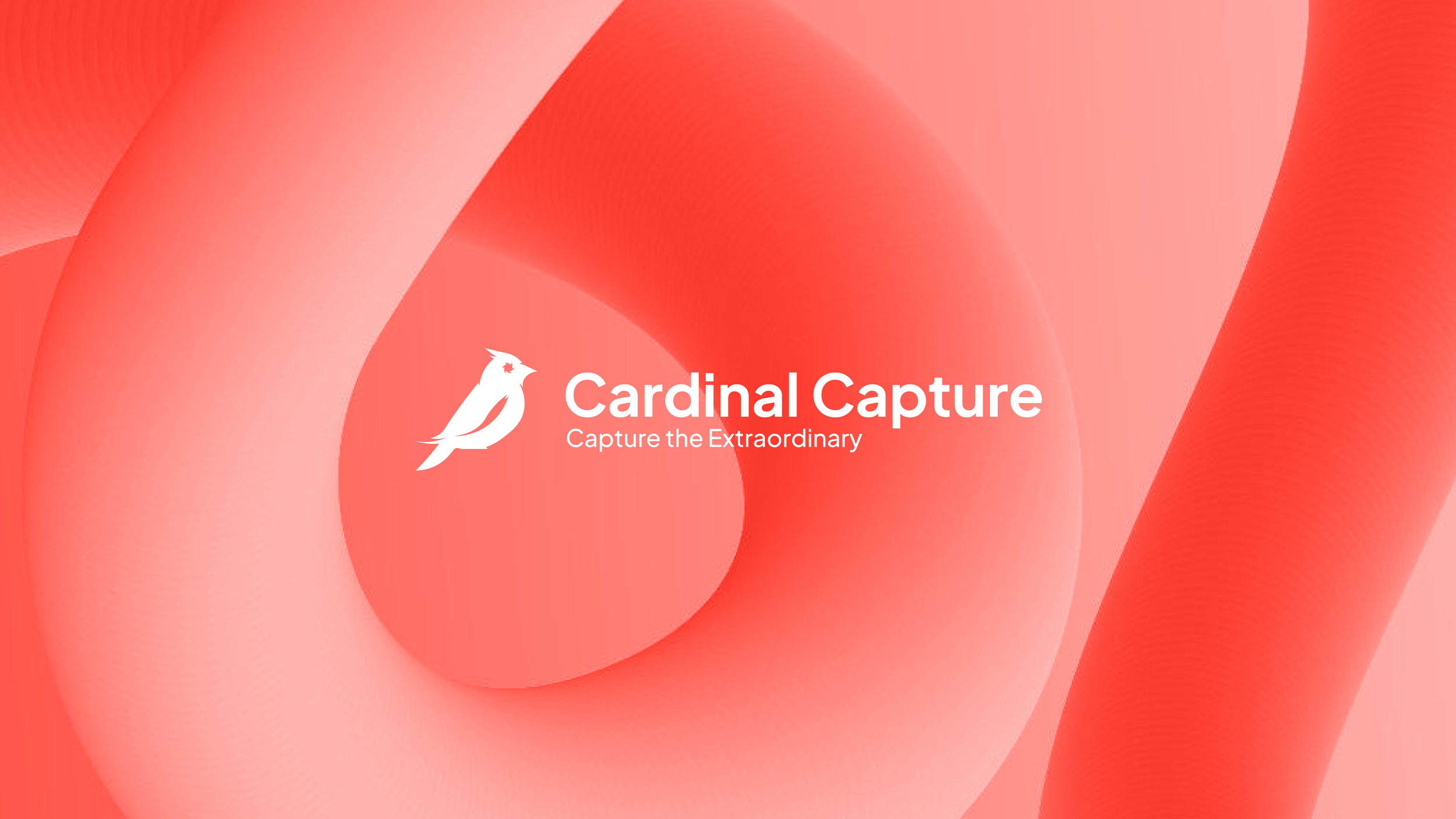 Cardinal Capture-22.png