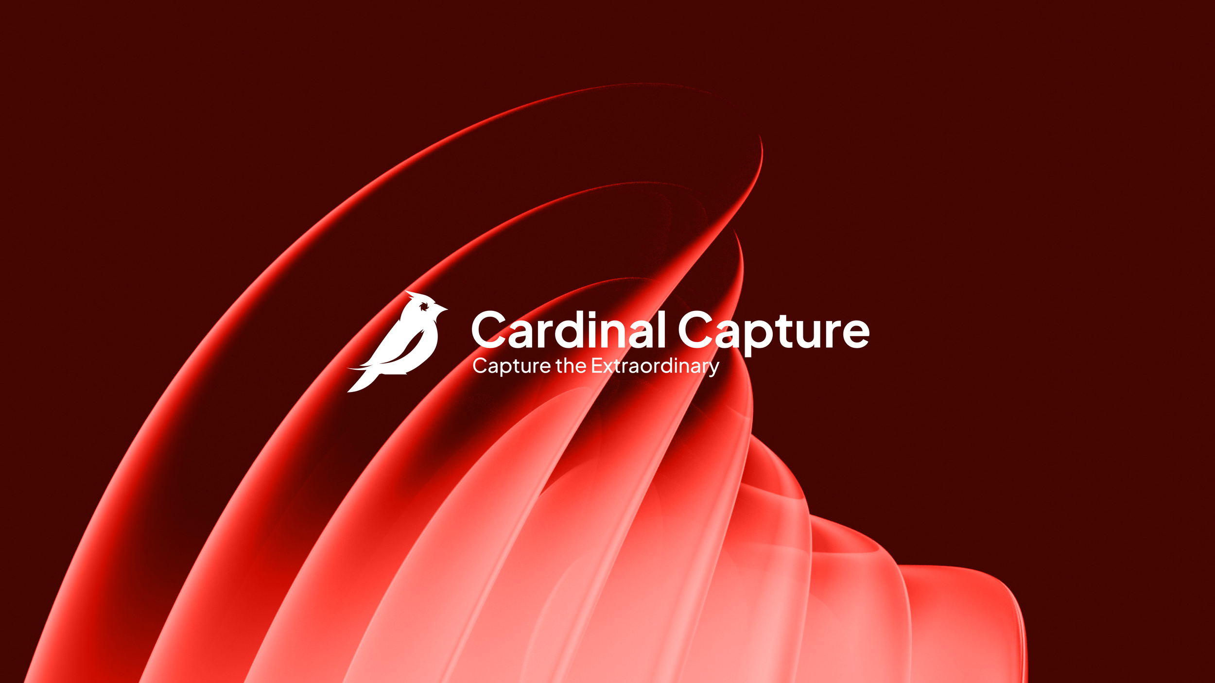 Cardinal Capture-23.png