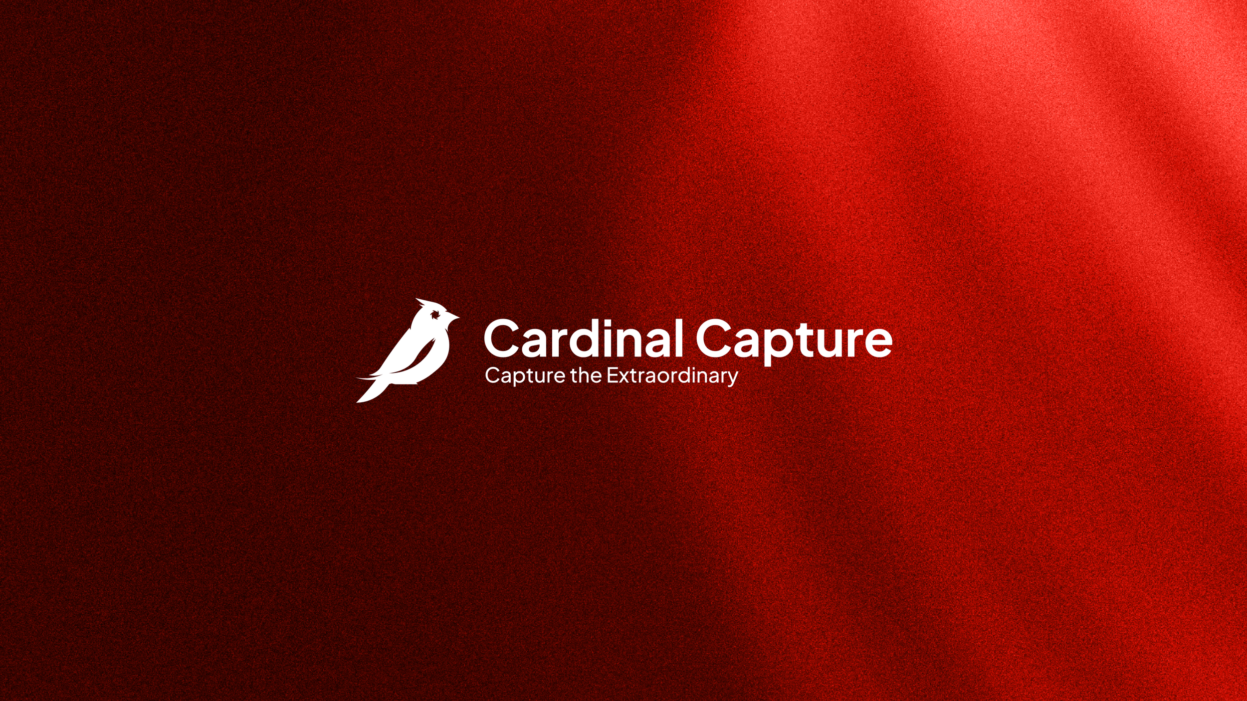 Cardinal Capture-24.png
