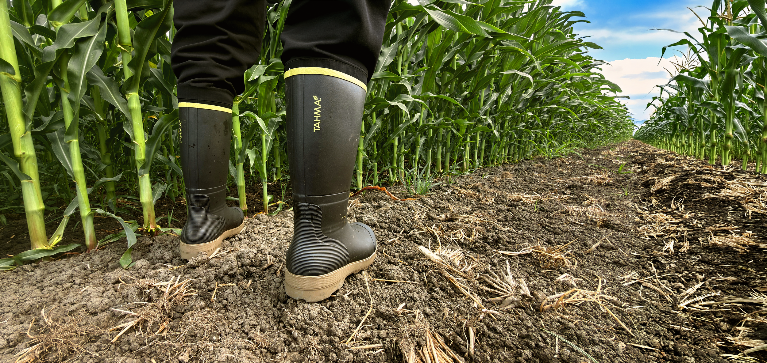 Tahma All-Terrain waterproof work boots worn by a farm worker walking through rows of a cornfield.
