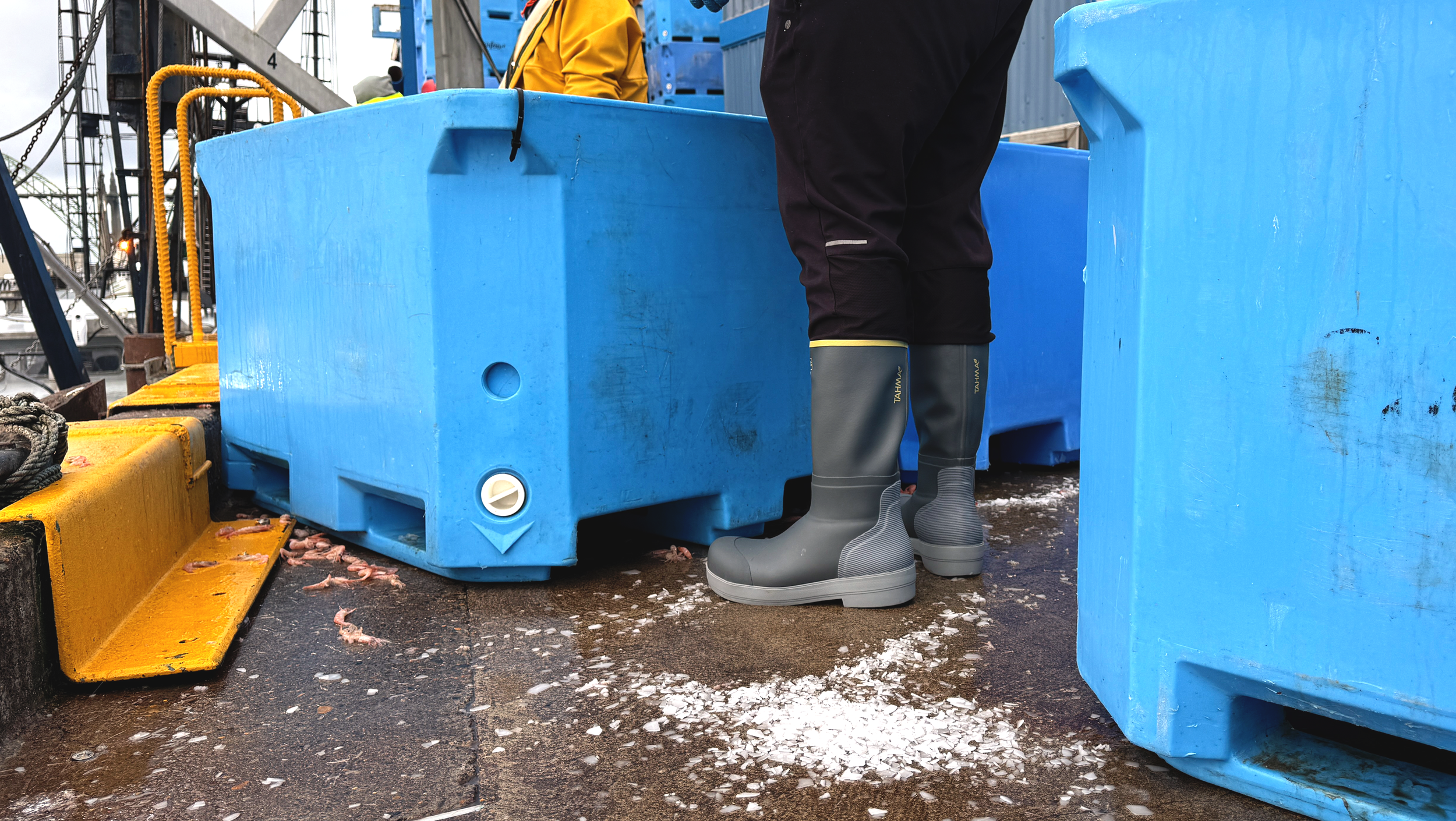 tahmaboots on a dock worker at a seafood plant standing in front of bins of ice and fish