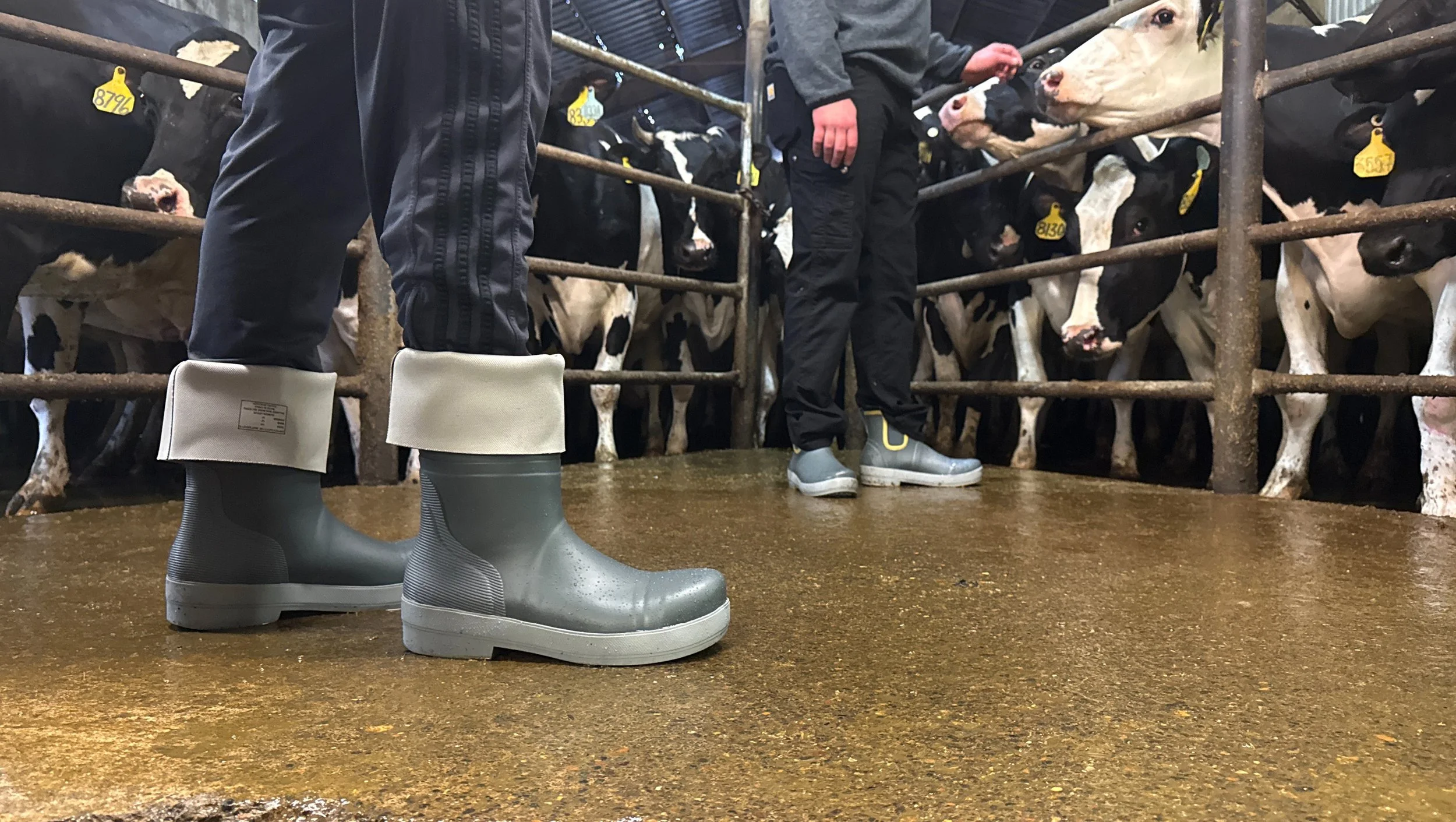 dairy-boots-2.jpg
