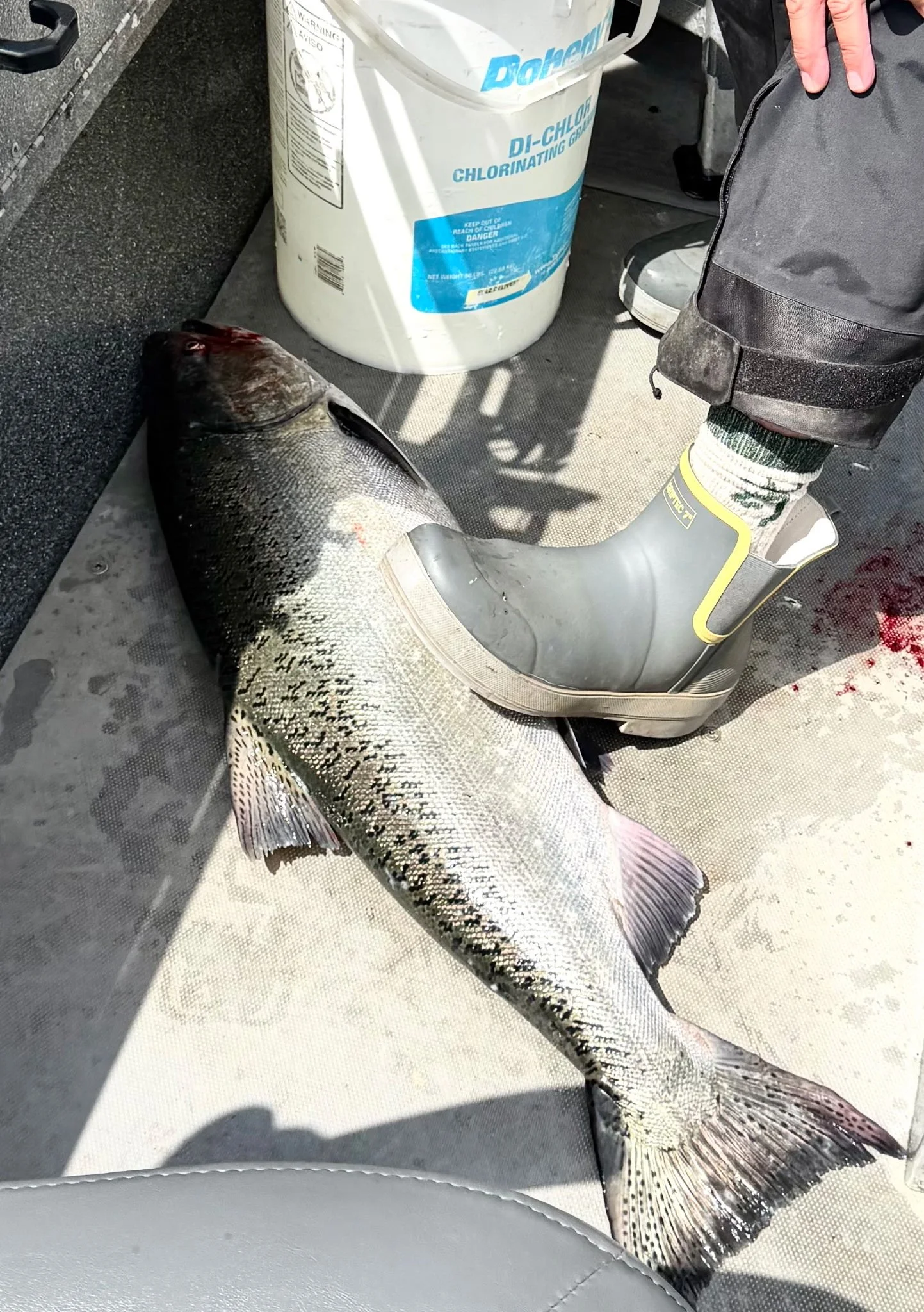 Tahma customer wearing low-cut boots stepping on a fish he caught in a boat