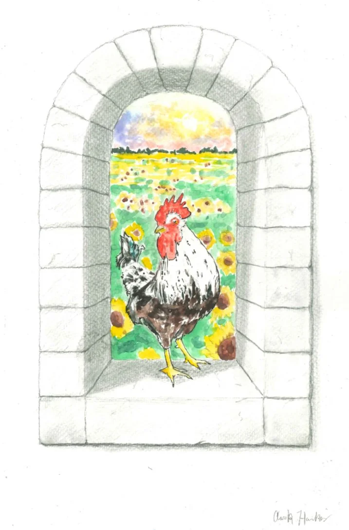 "Rooster in the Window," Watercolor, Only Prints Available