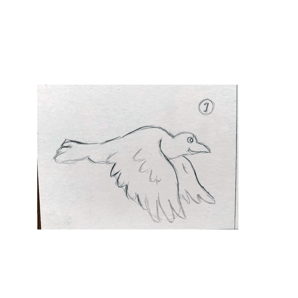 Frame by Frame Bird Animation
