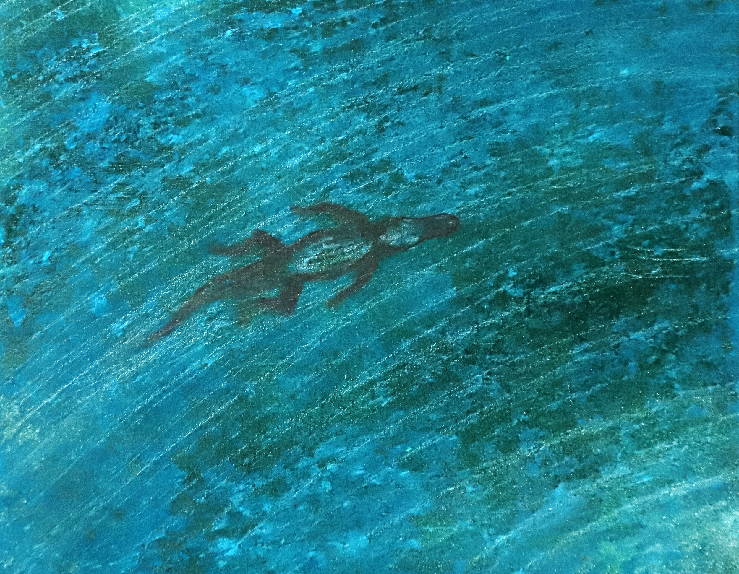 "Gator," Mixed Media, 16x20in