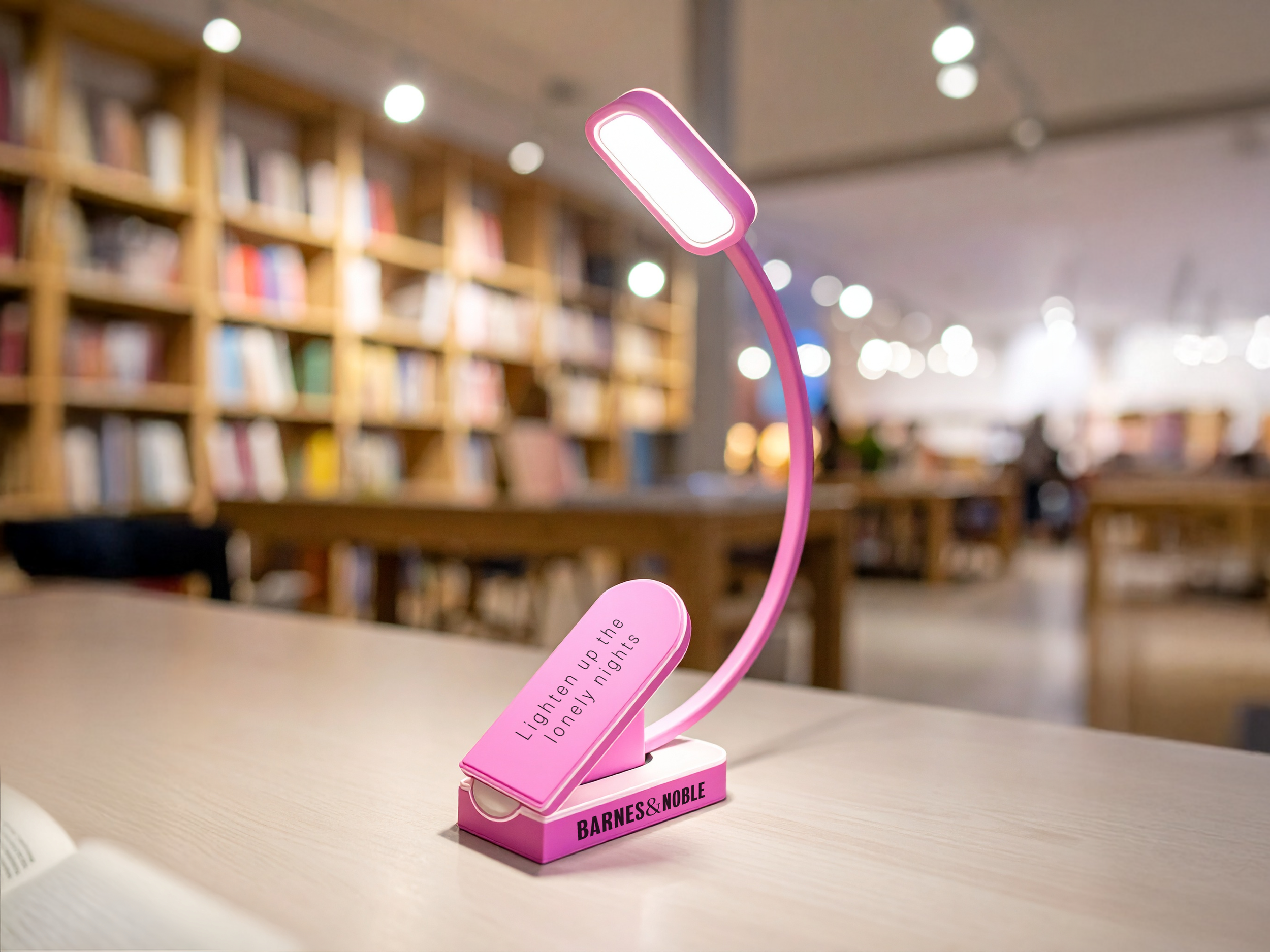 BNSS Reading Light.png