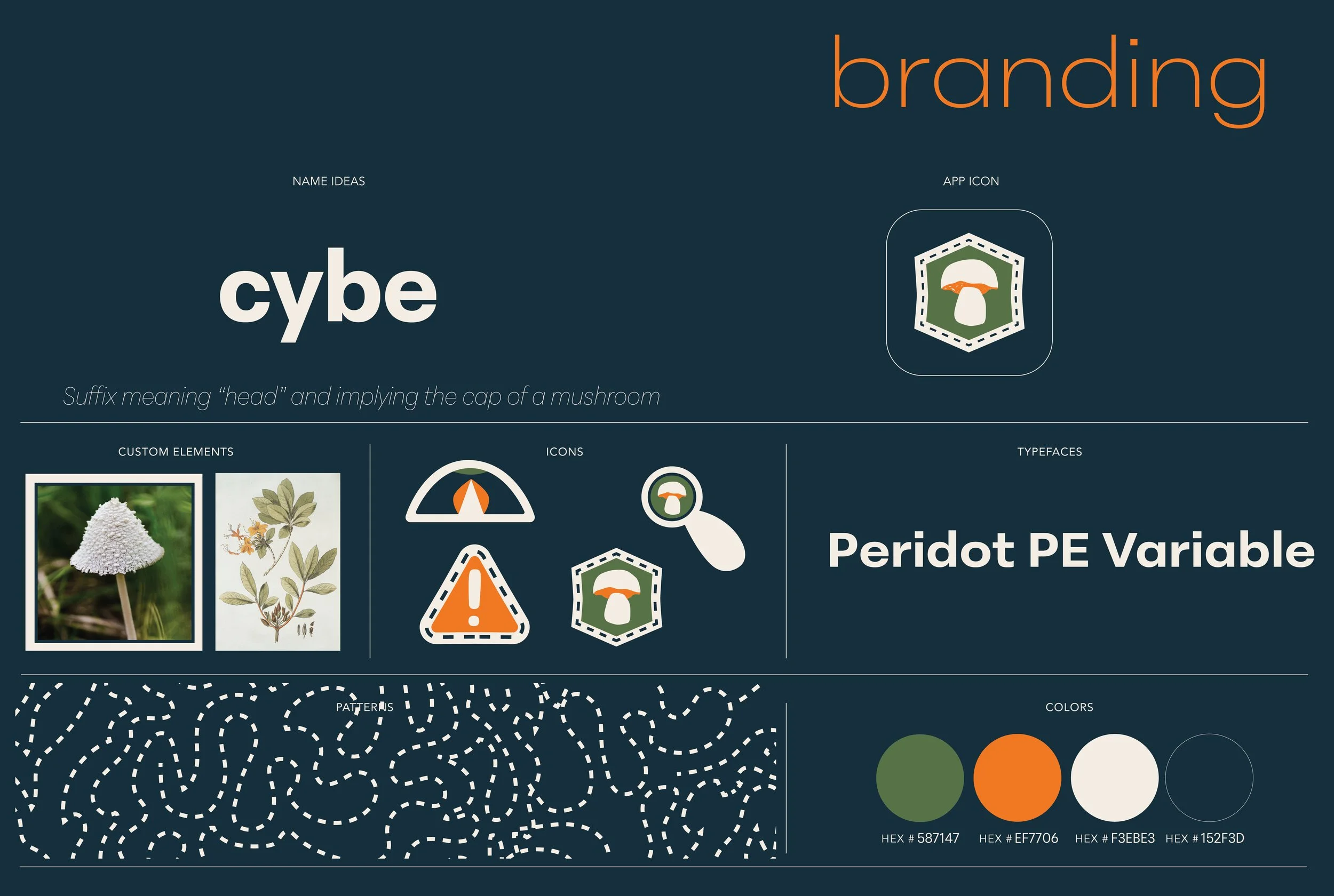 Cybe Behance_Branding.jpg