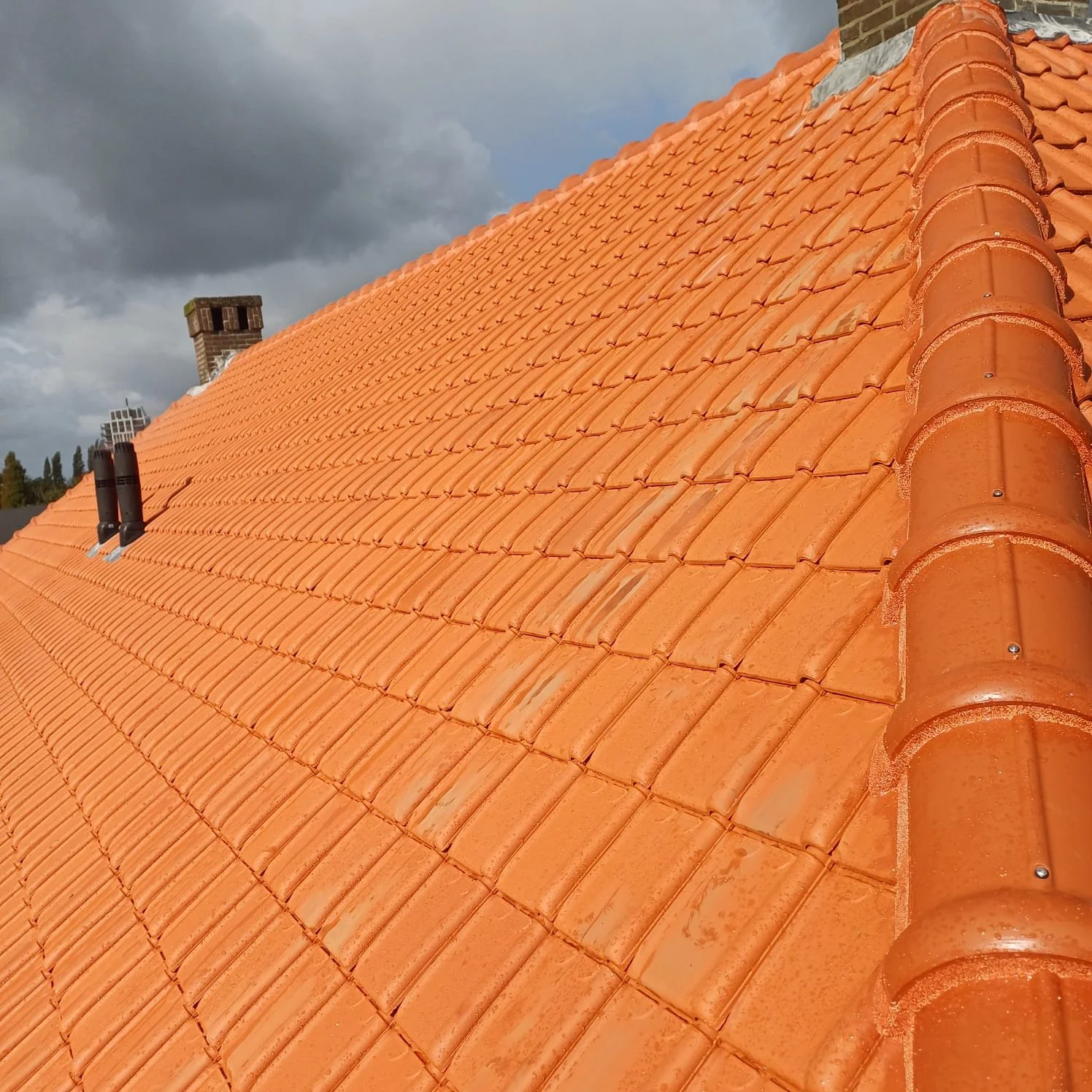 WhatsApp Image 2025-10-27 at 3.28.27 PM (3).jpeg