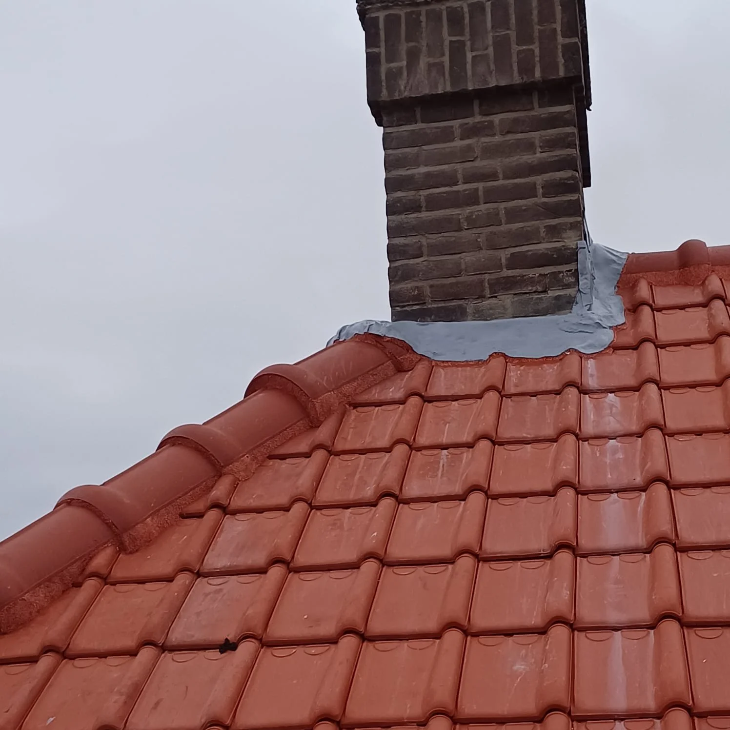 WhatsApp Image 2025-10-27 at 3.26.28 PM (3).jpeg