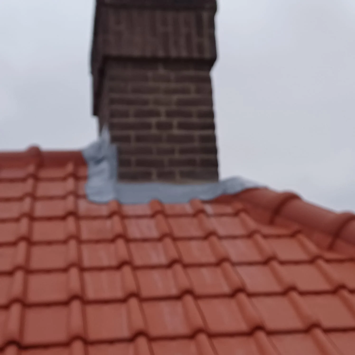 WhatsApp Image 2025-10-27 at 3.26.28 PM (2).jpeg