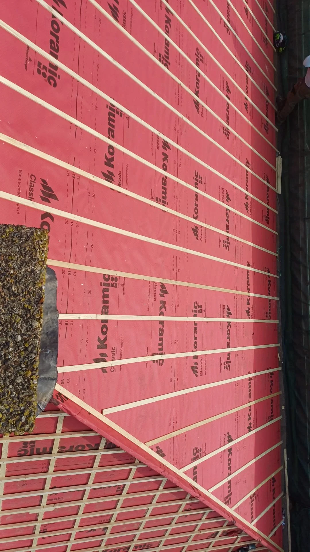 WhatsApp Image 2025-10-27 at 3.26.23 PM (1).jpeg