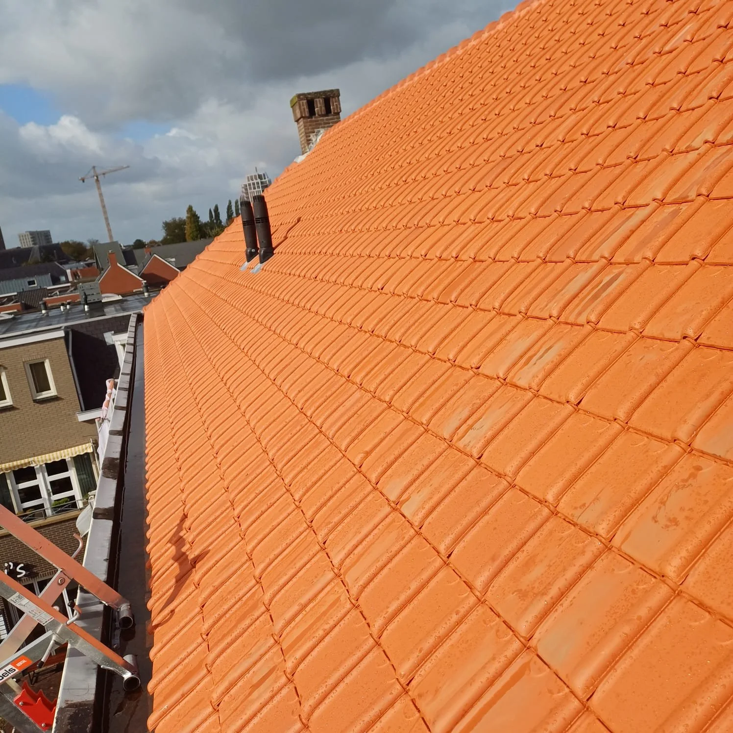 WhatsApp Image 2025-10-27 at 3.28.14 PM.jpeg