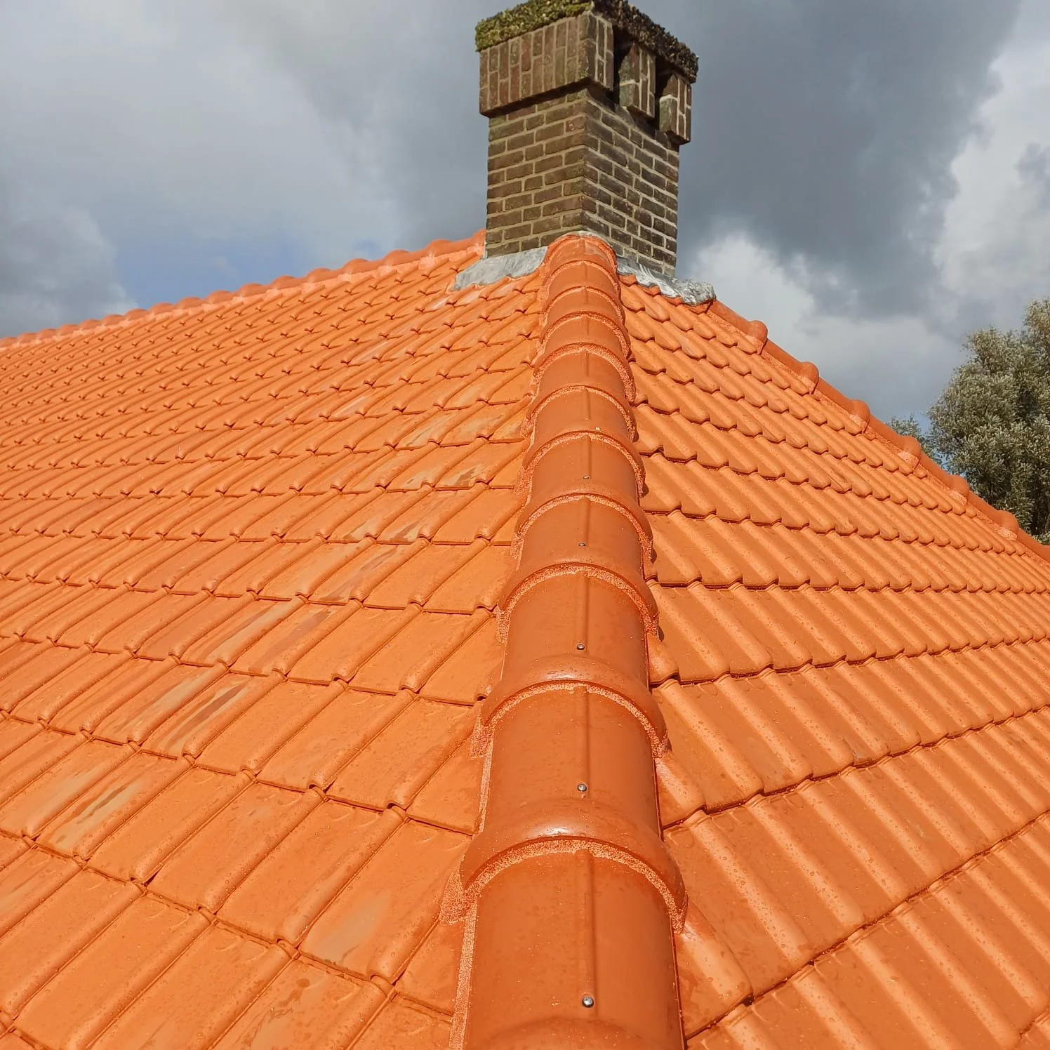 WhatsApp Image 2025-10-27 at 3.28.27 PM (2).jpeg