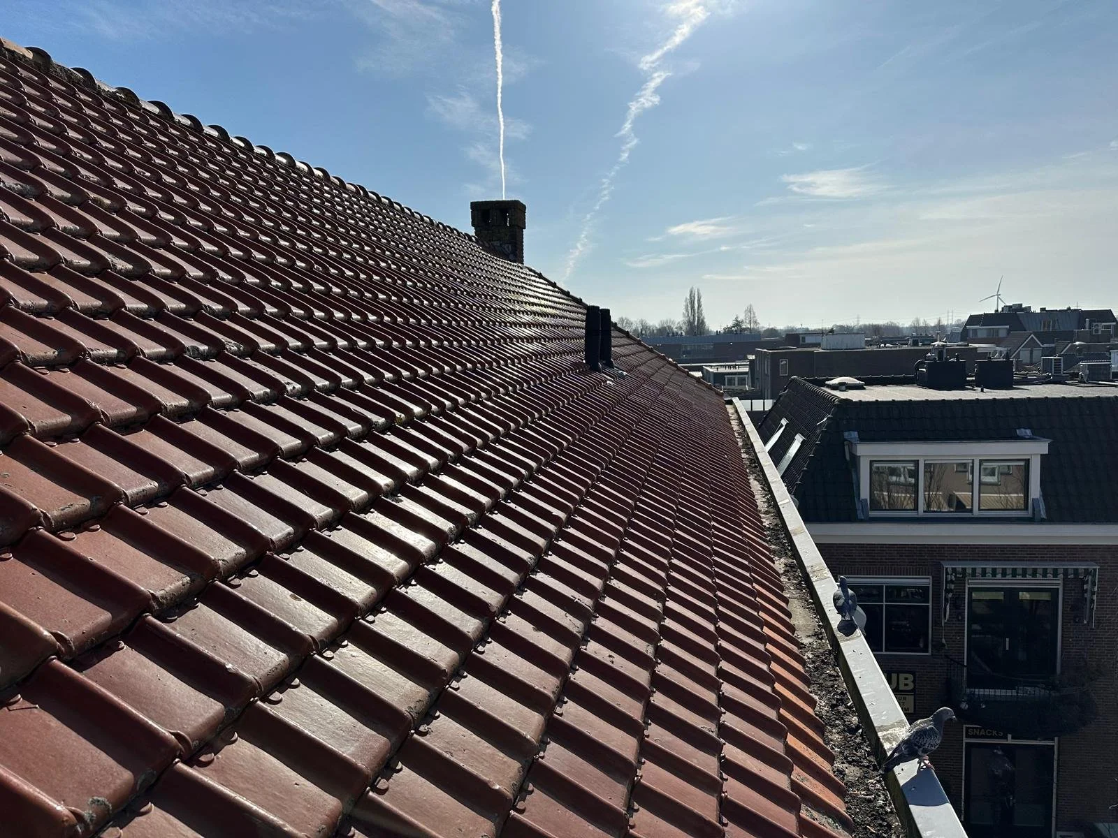 WhatsApp Image 2025-10-27 at 3.18.07 PM.jpeg