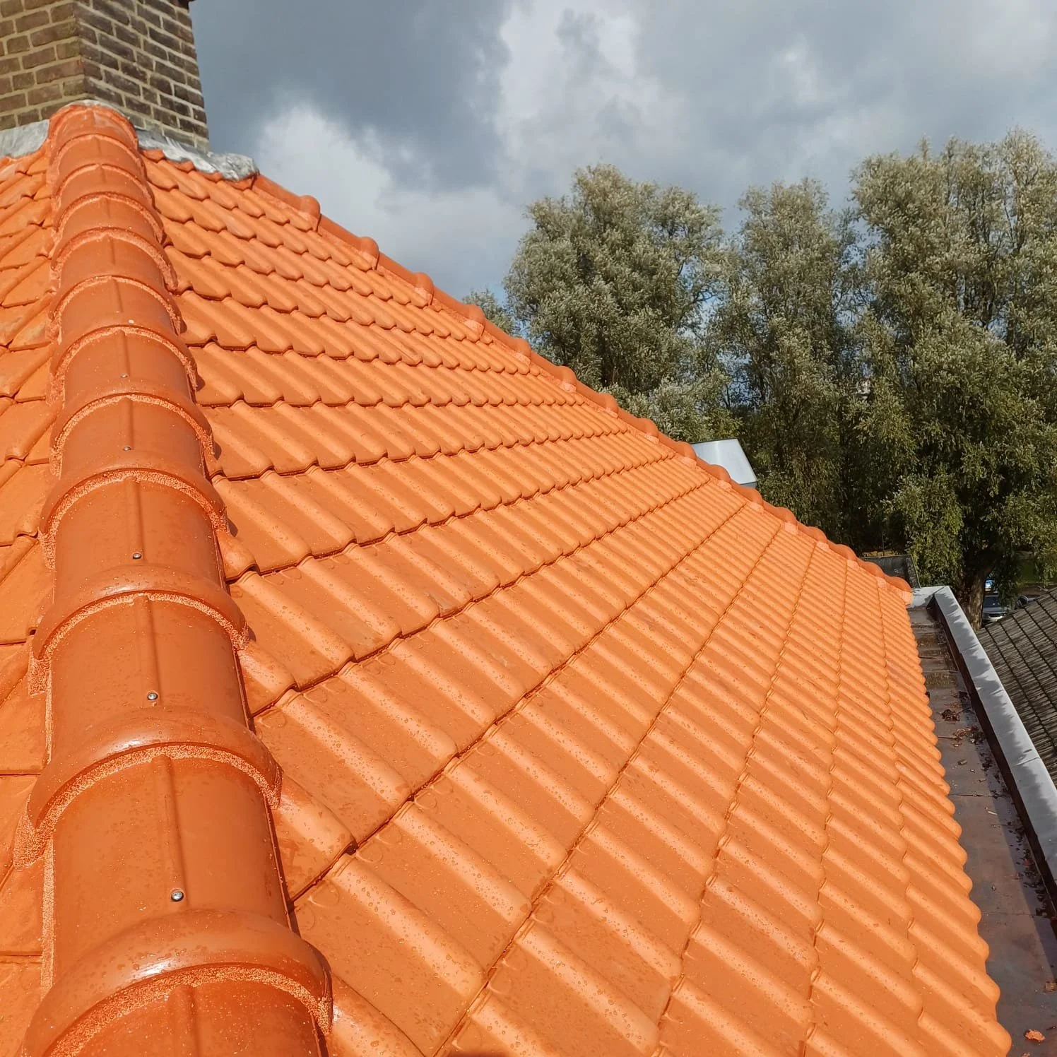 WhatsApp Image 2025-10-27 at 3.28.27 PM (1).jpeg