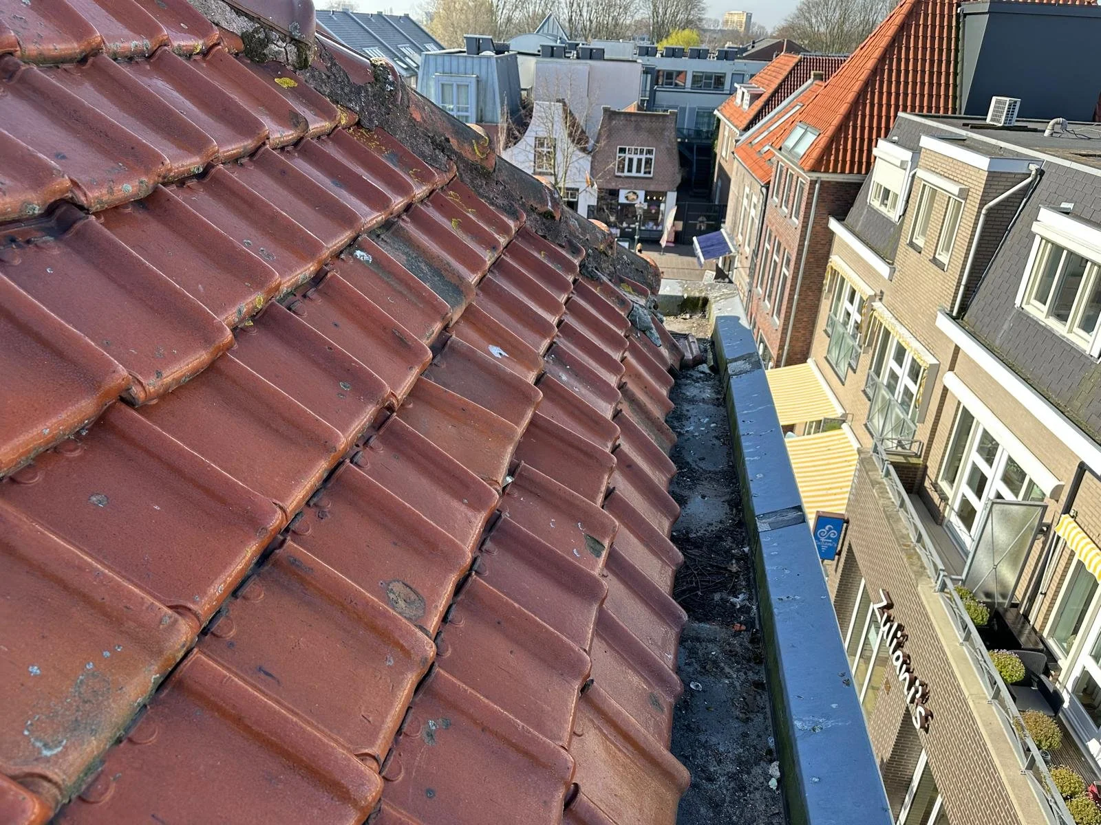 WhatsApp Image 2025-10-27 at 3.18.07 PM (2).jpeg