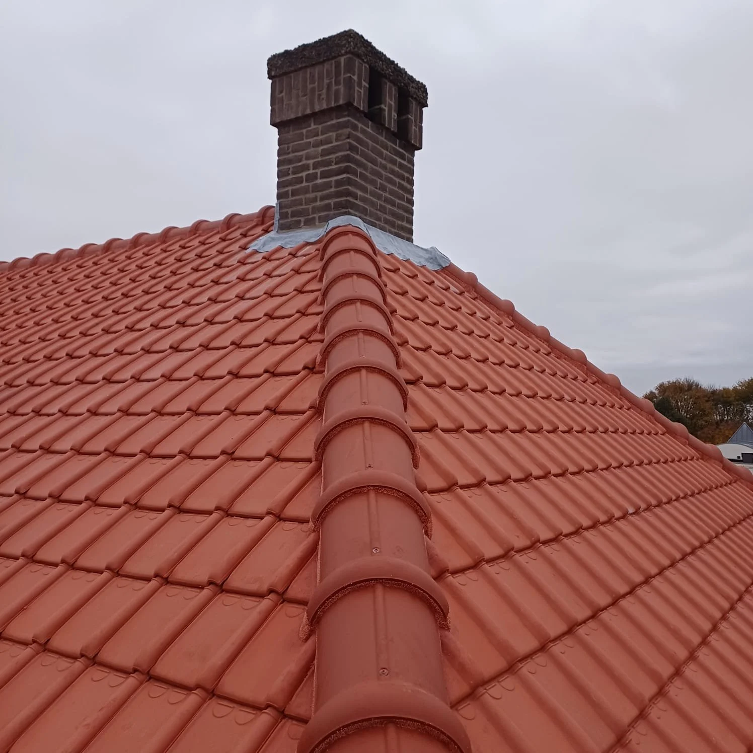 WhatsApp Image 2025-10-27 at 3.26.27 PM (4).jpeg