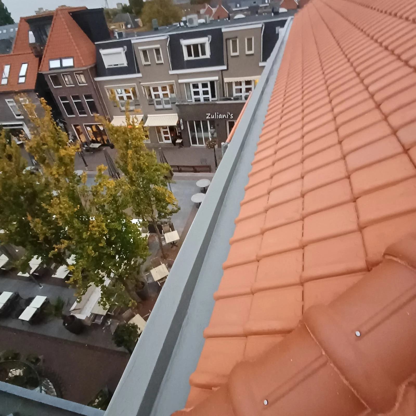 WhatsApp Image 2025-10-27 at 3.26.27 PM (1).jpeg