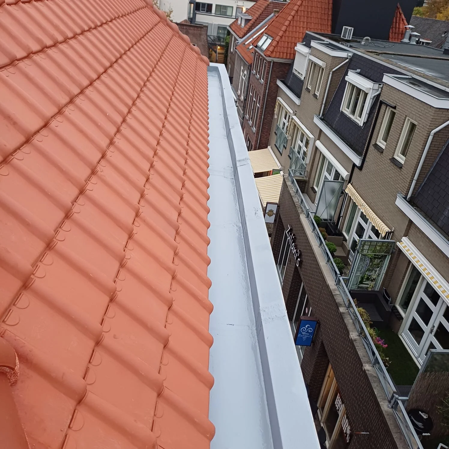 WhatsApp Image 2025-10-27 at 3.26.28 PM.jpeg