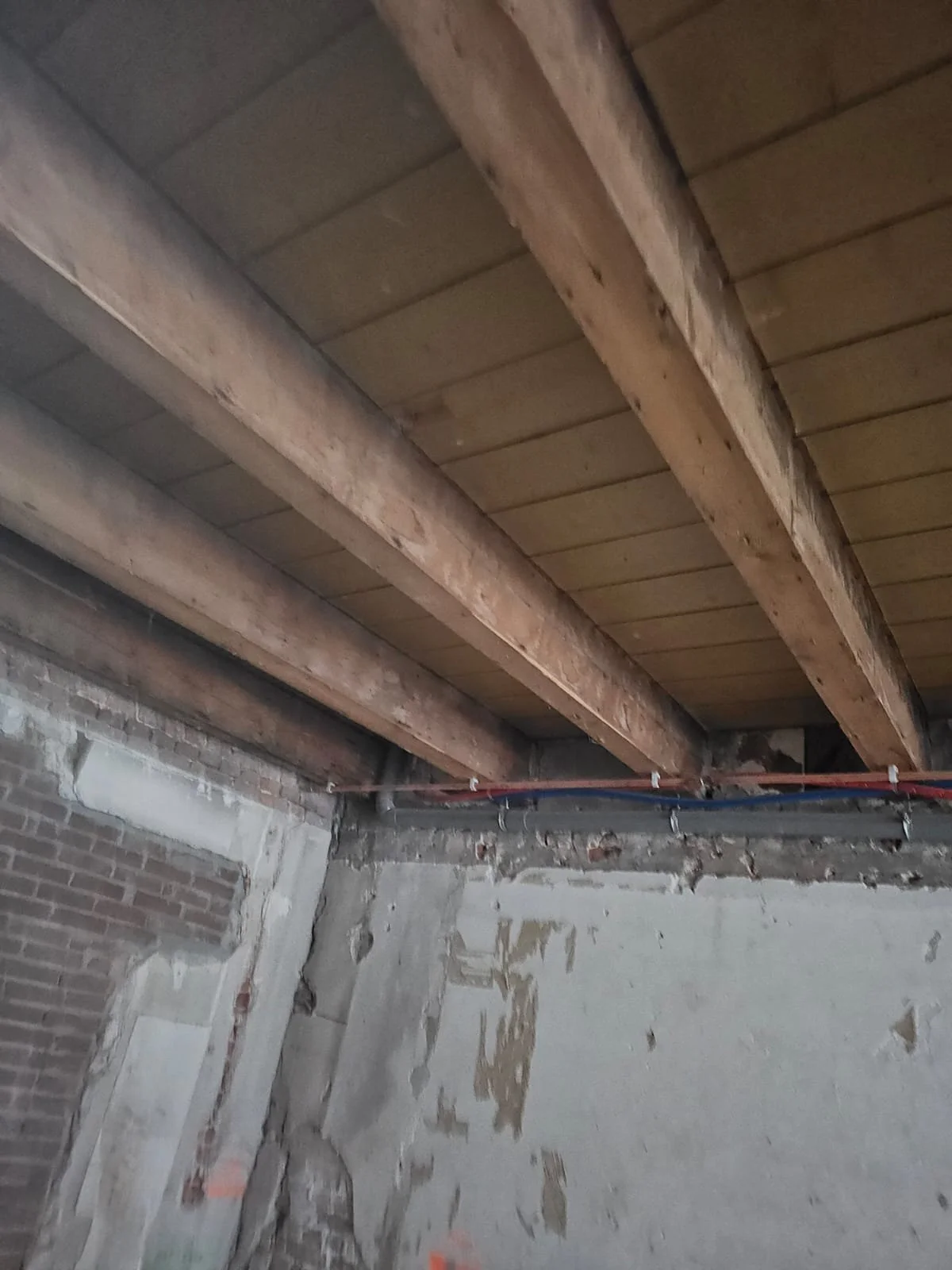 WhatsApp Image 2026-03-18 at 18.37.23 (5).jpeg