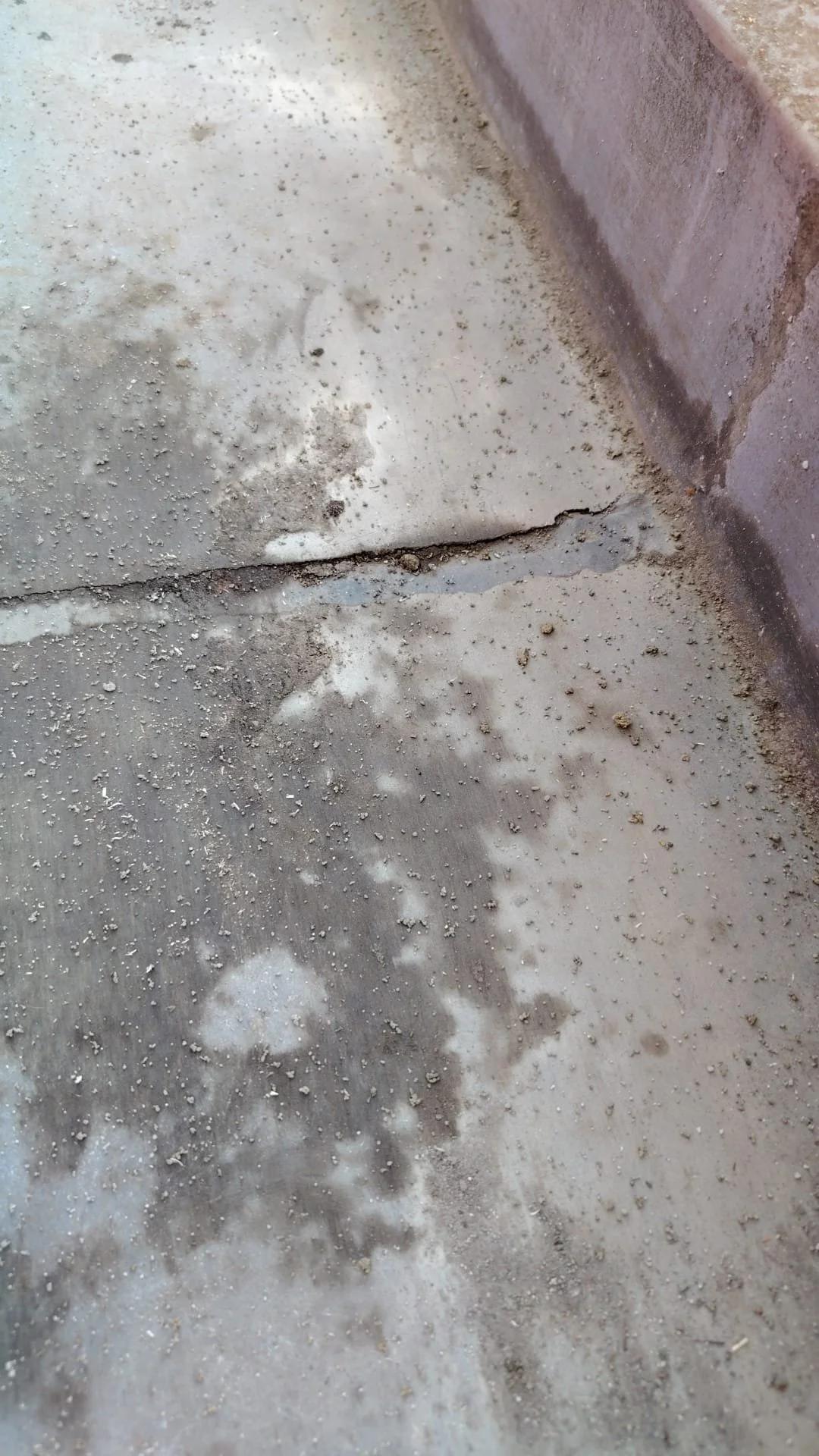 WhatsApp Image 2025-10-27 at 3.21.38 PM (1).jpeg