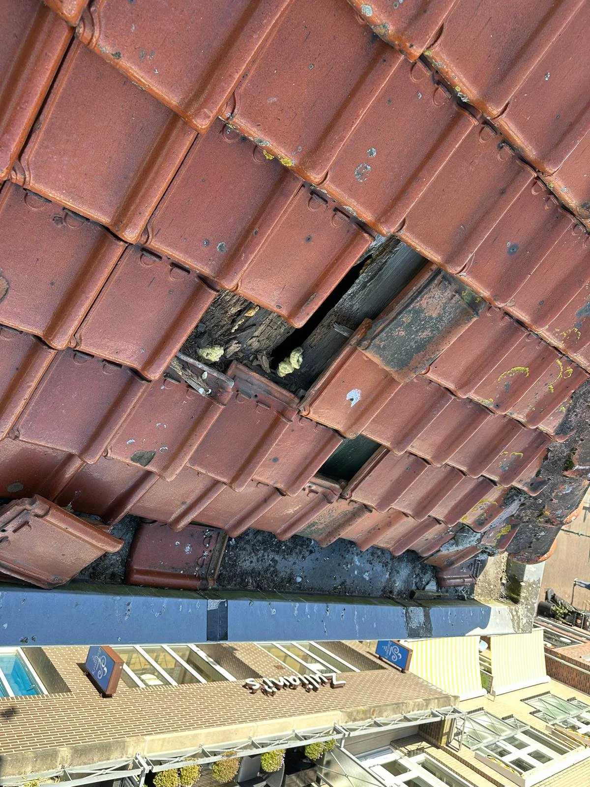 WhatsApp Image 2025-10-27 at 3.18.06 PM (1).jpeg