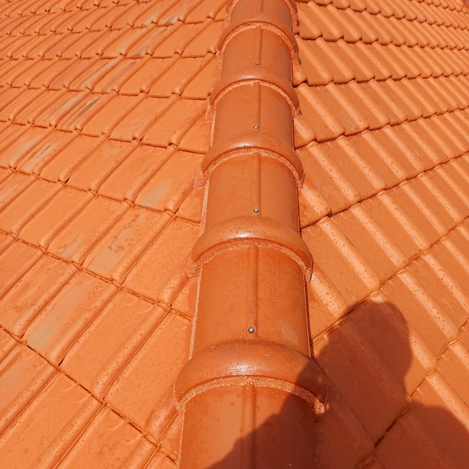 WhatsApp Image 2025-10-27 at 3.28.27 PM.jpeg