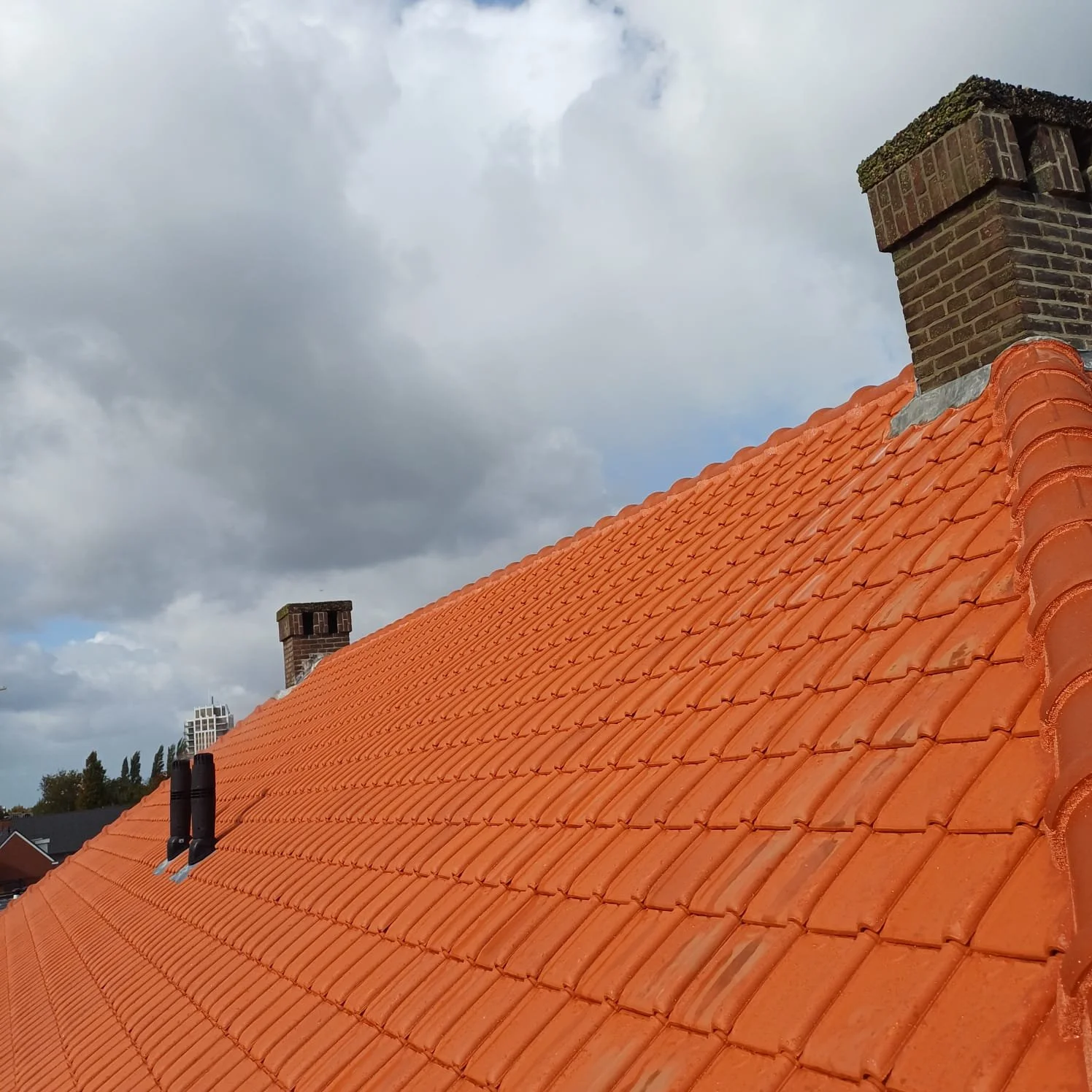 WhatsApp Image 2025-10-27 at 3.28.28 PM (1).jpeg