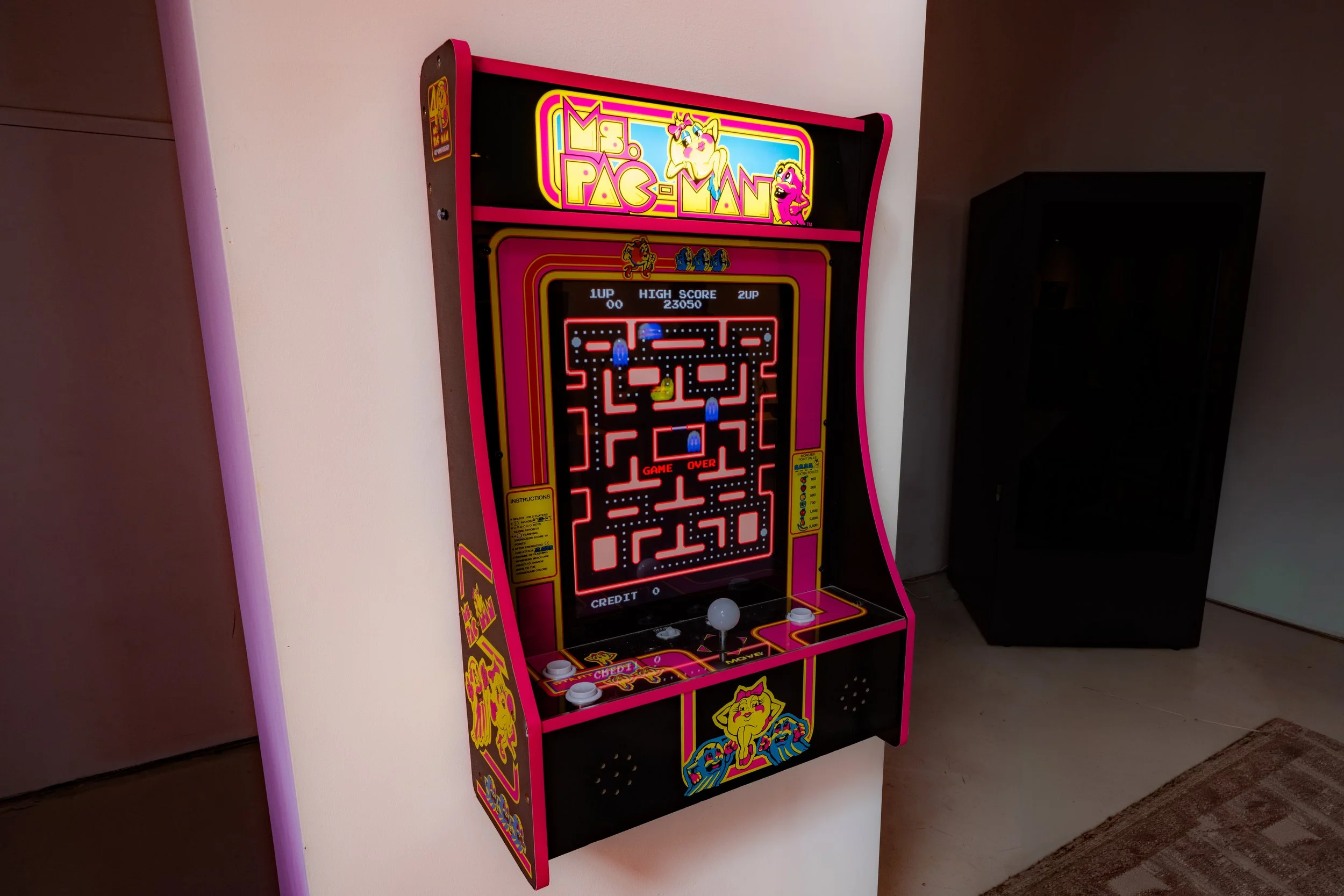 MS PACMAN FRONT.jpg